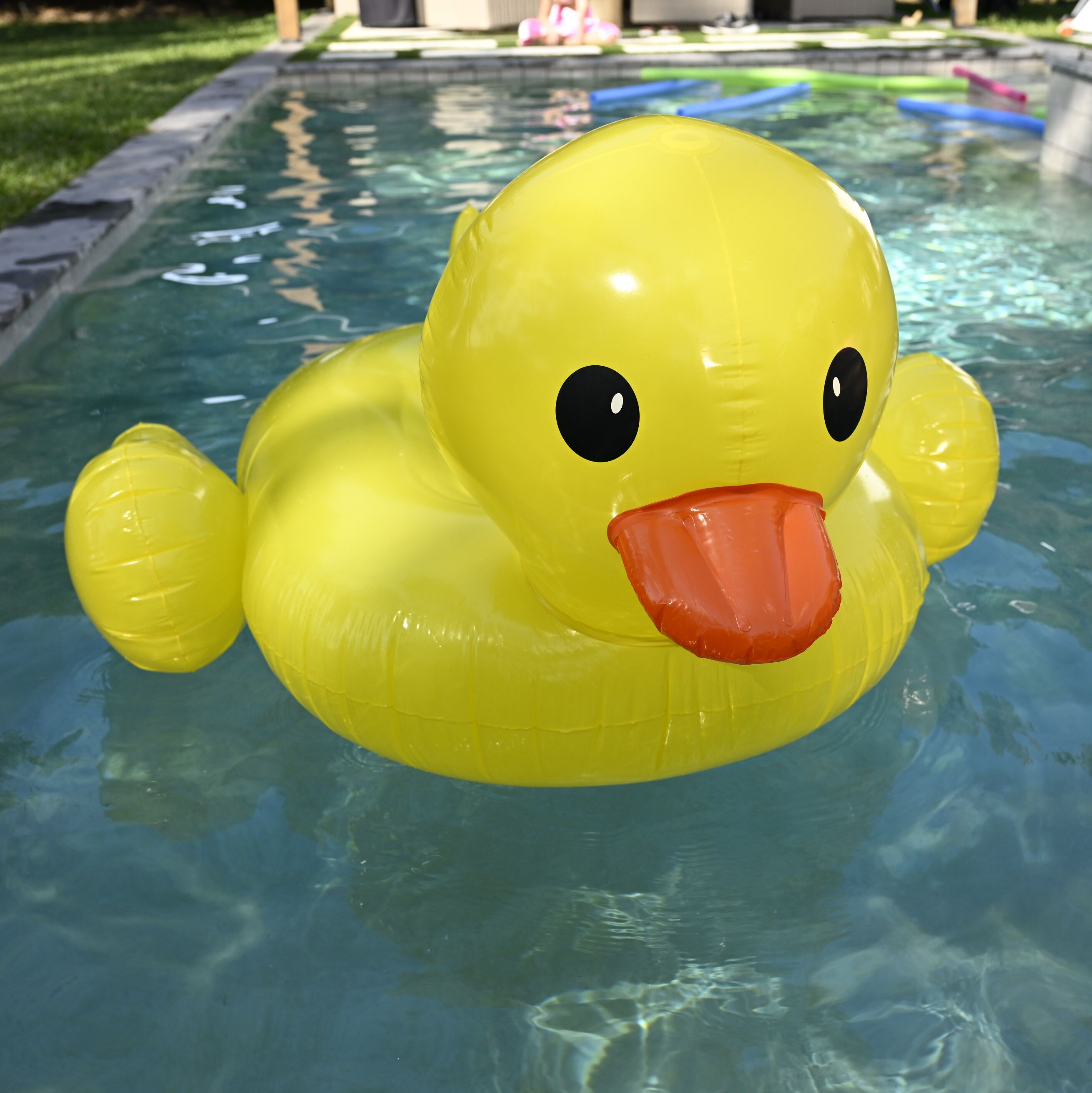 Quack Up Ridable Float