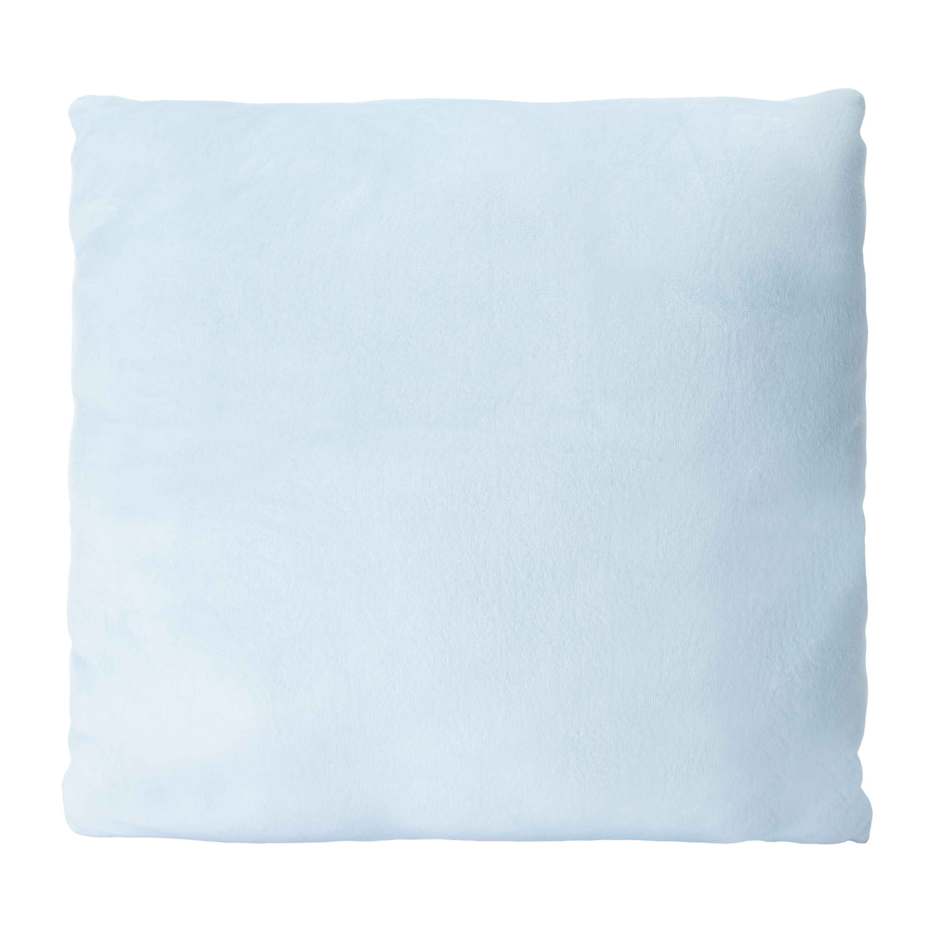 Bluey™ Pillow