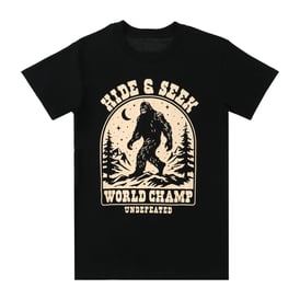 HIDE AND SEEK VELOUER S/S TEE 【公式通販】