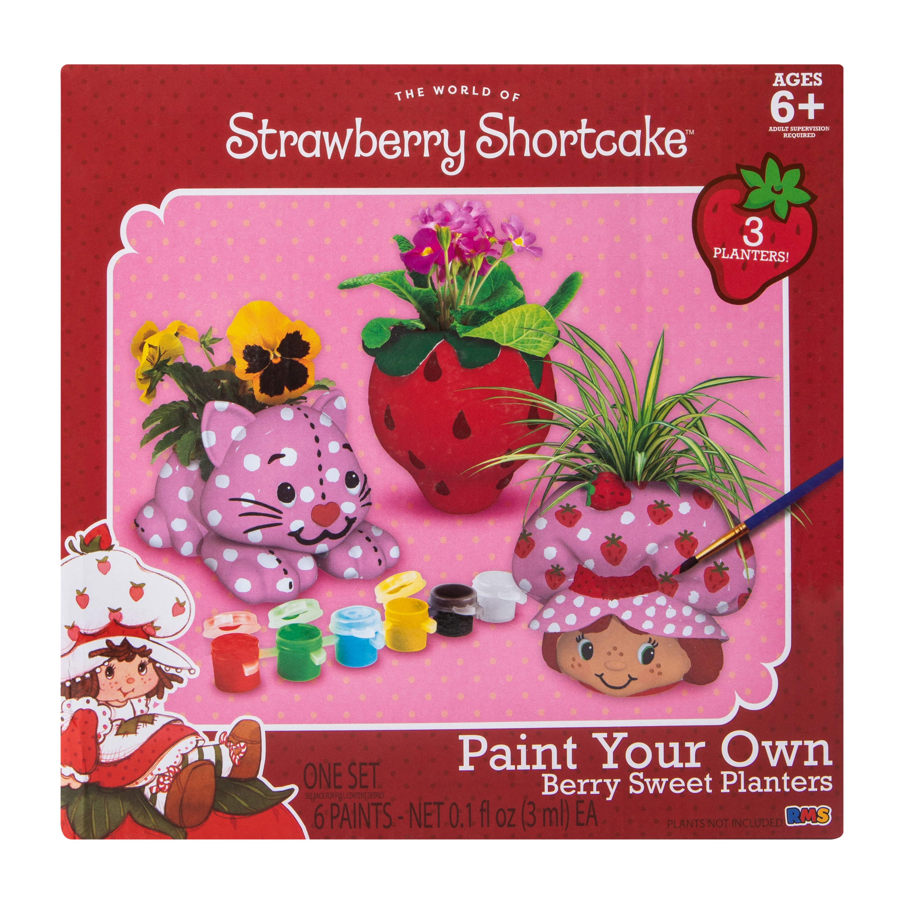 Strawberry Shortcake™ Paint Your Own Berry Sweet Planters Set