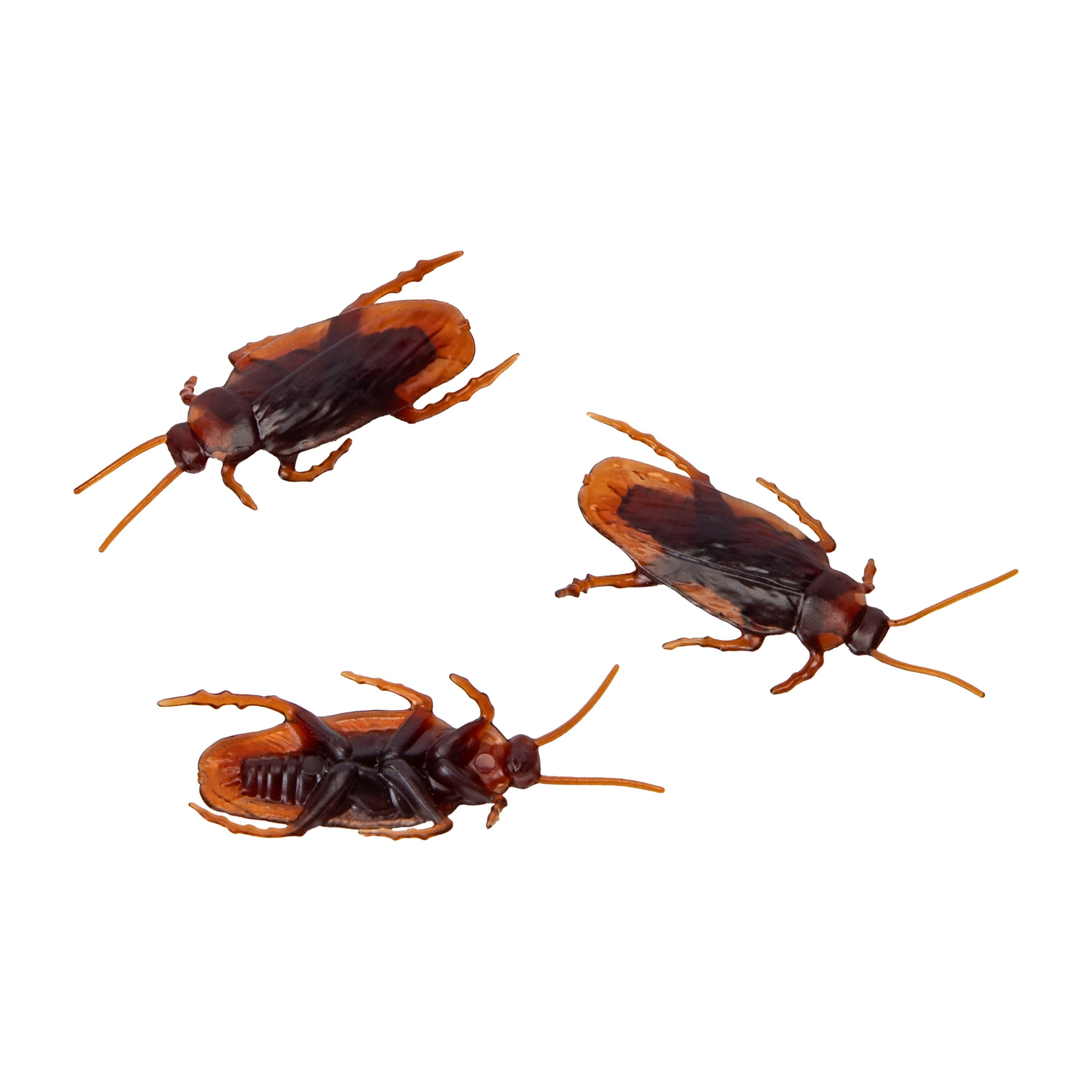 Strangely Fun! Fake Cockroaches 20-Pack