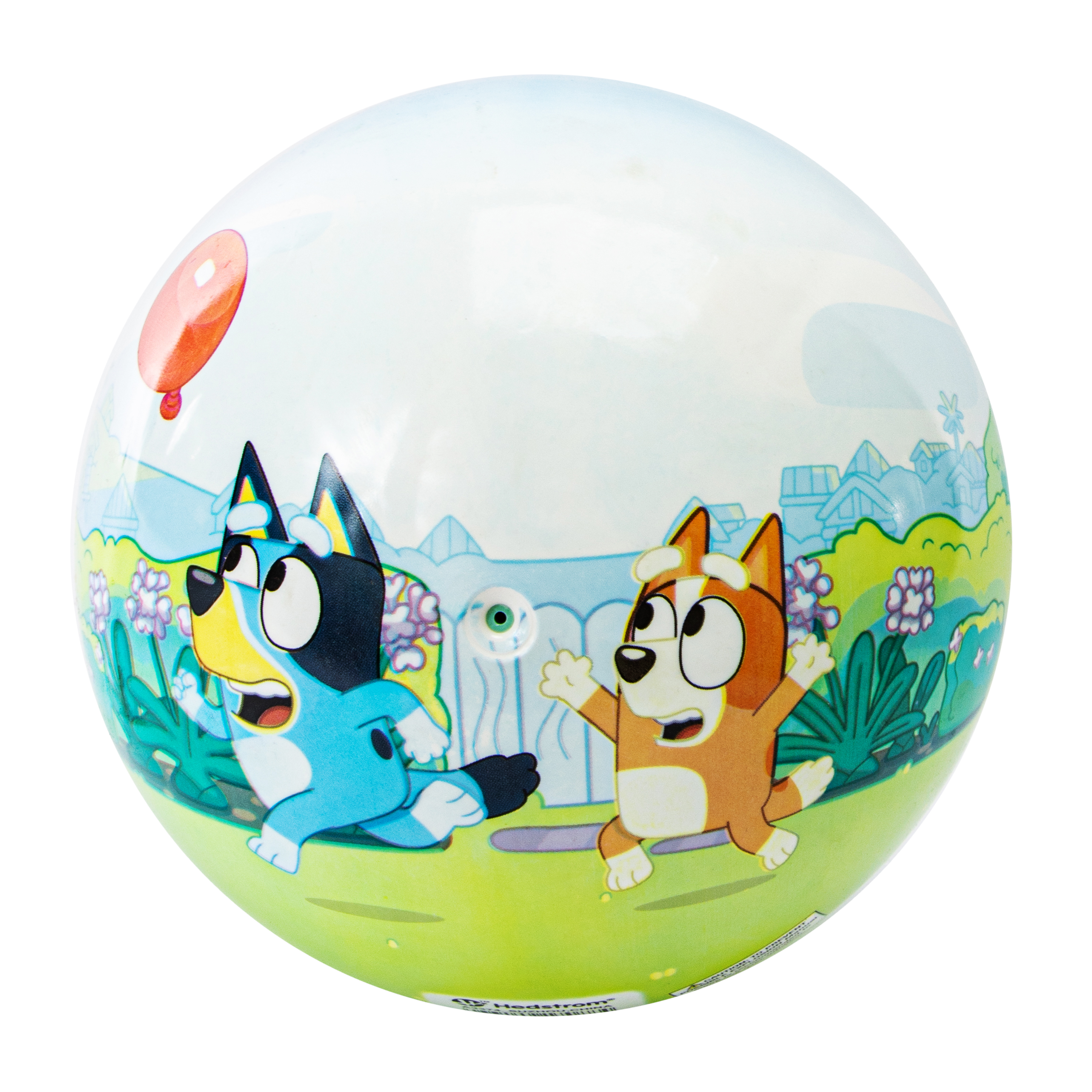 Bluey™ Ball 10in