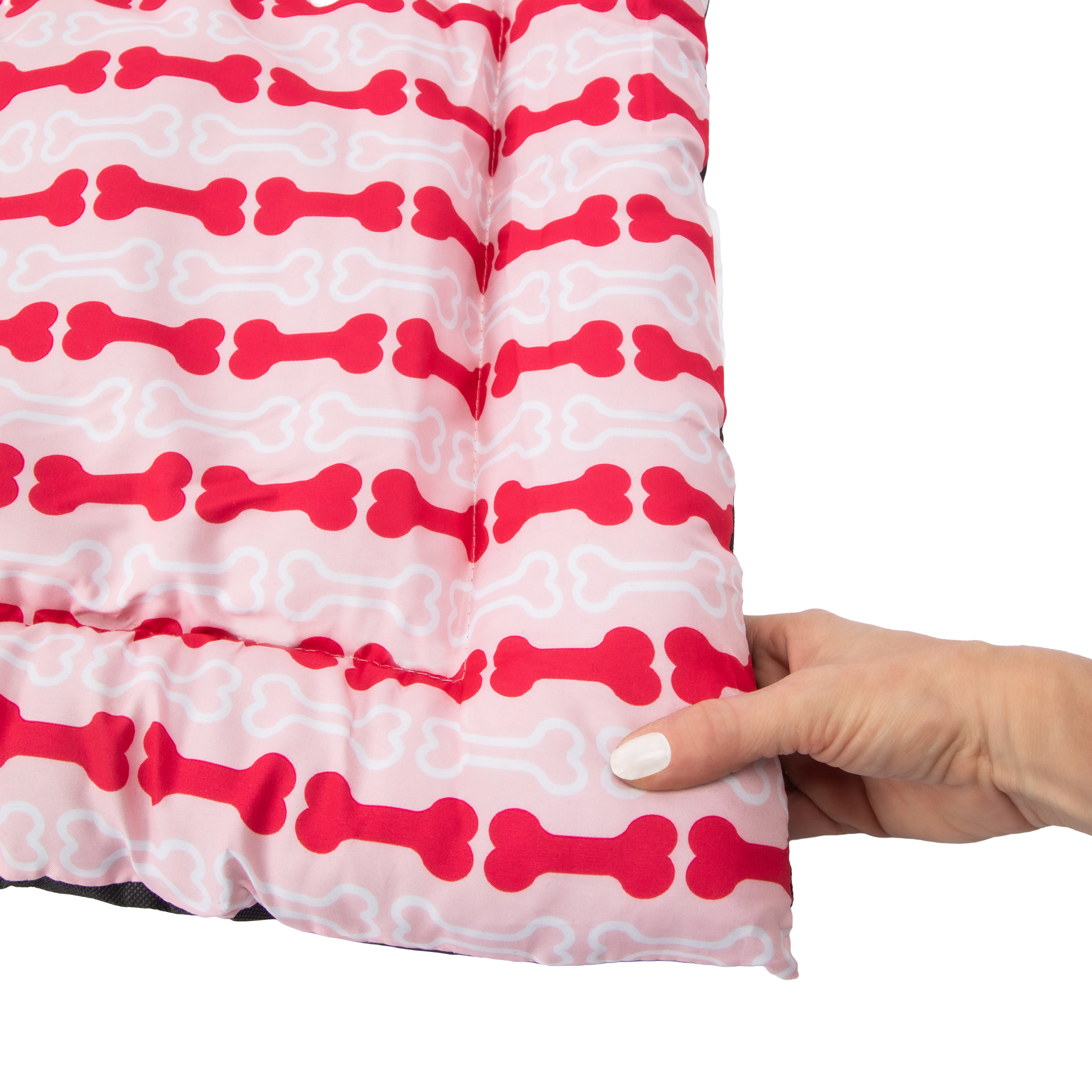 Pawsitively Fun! Pet Crate Mat