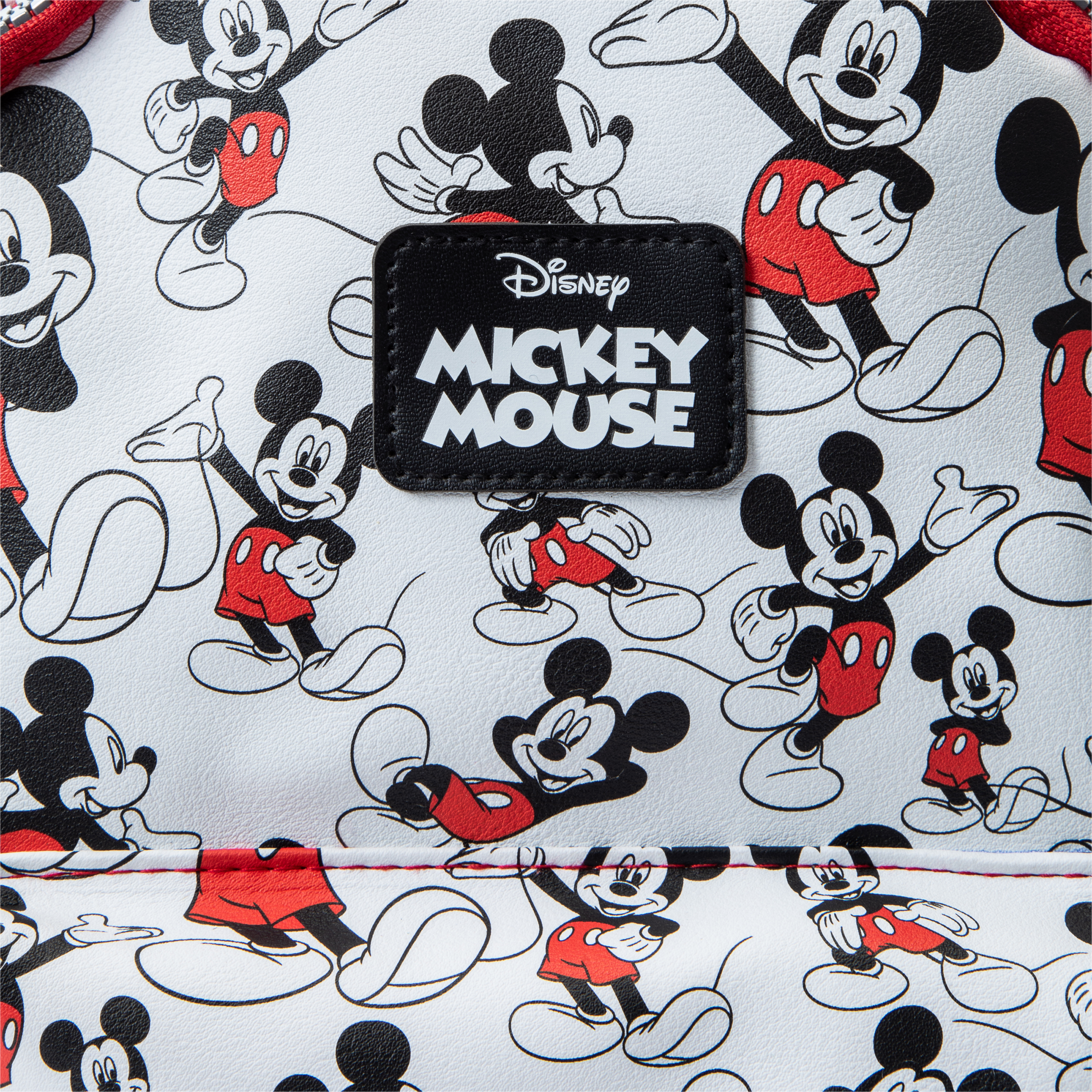 Disney Mini Backpack