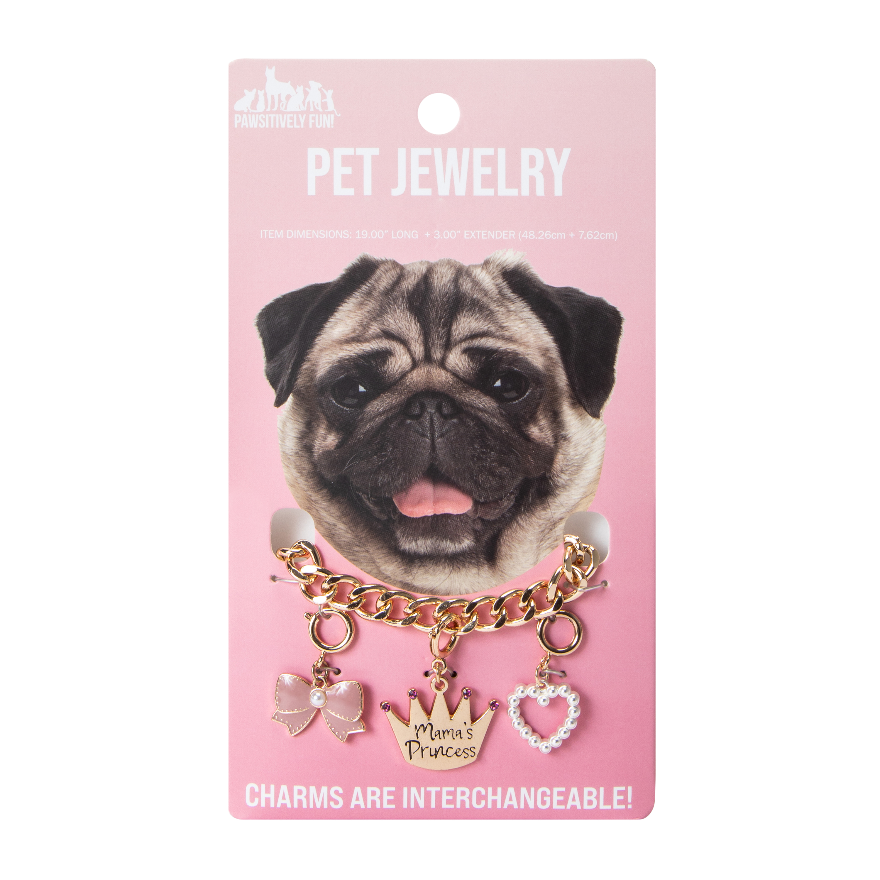 Pawsitively Fun! Large Pet Jewelry With Charm