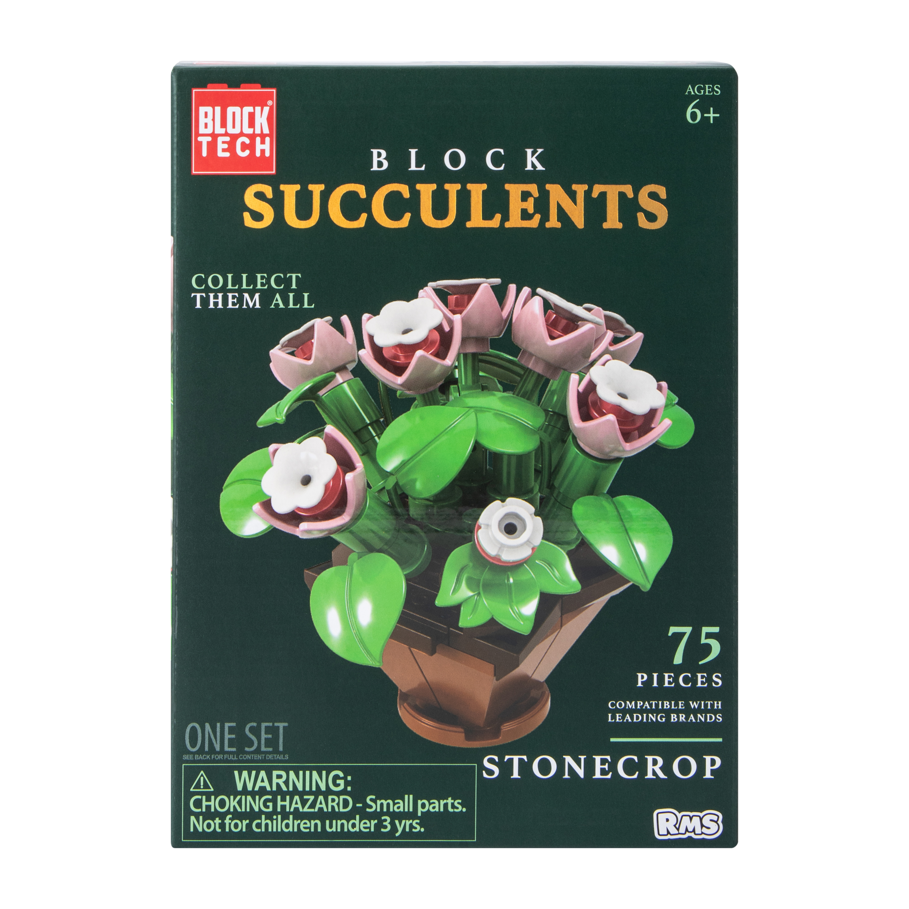 Block Tech® Block Succulents Set | Five Below