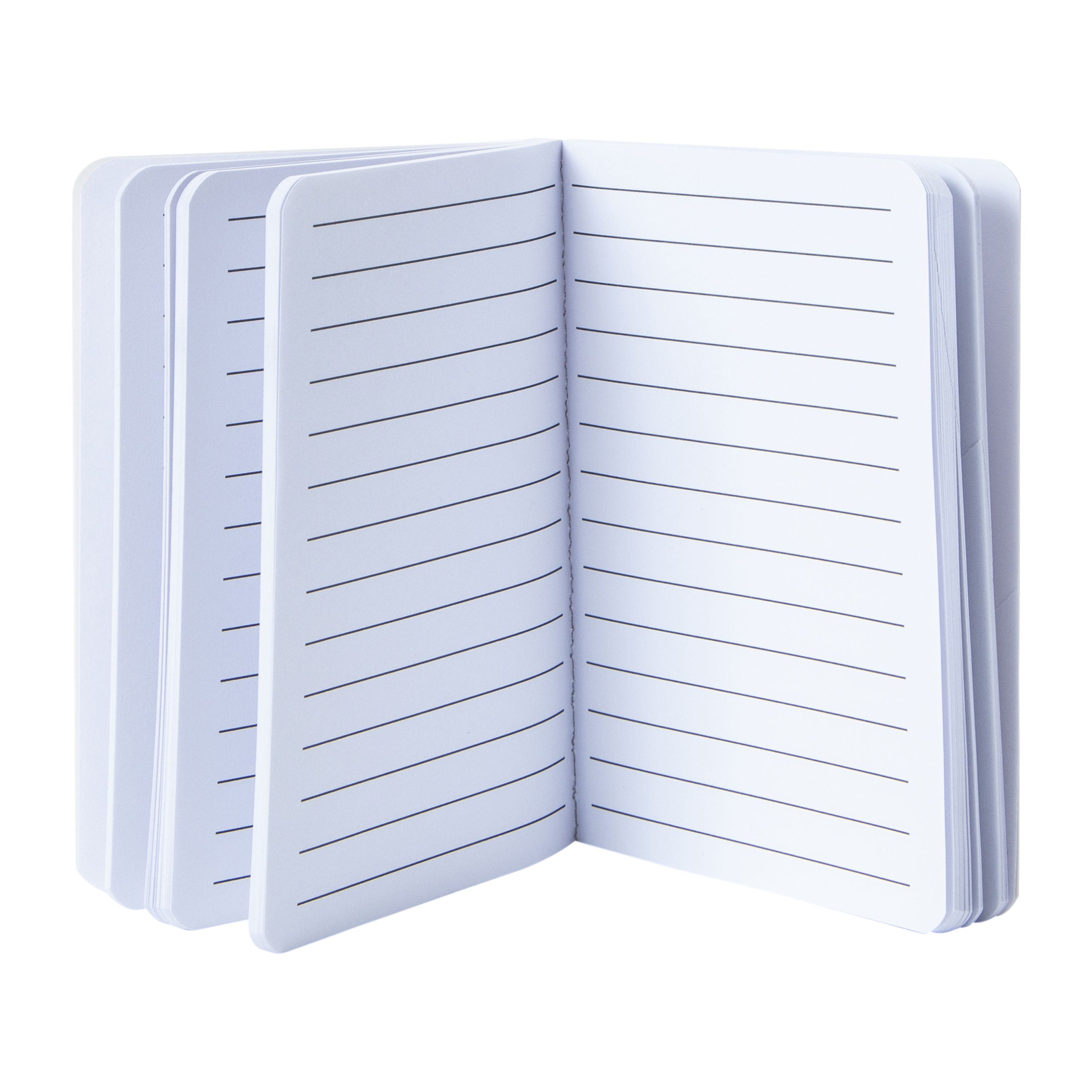 Pop-Tarts™ Mini Journal Book