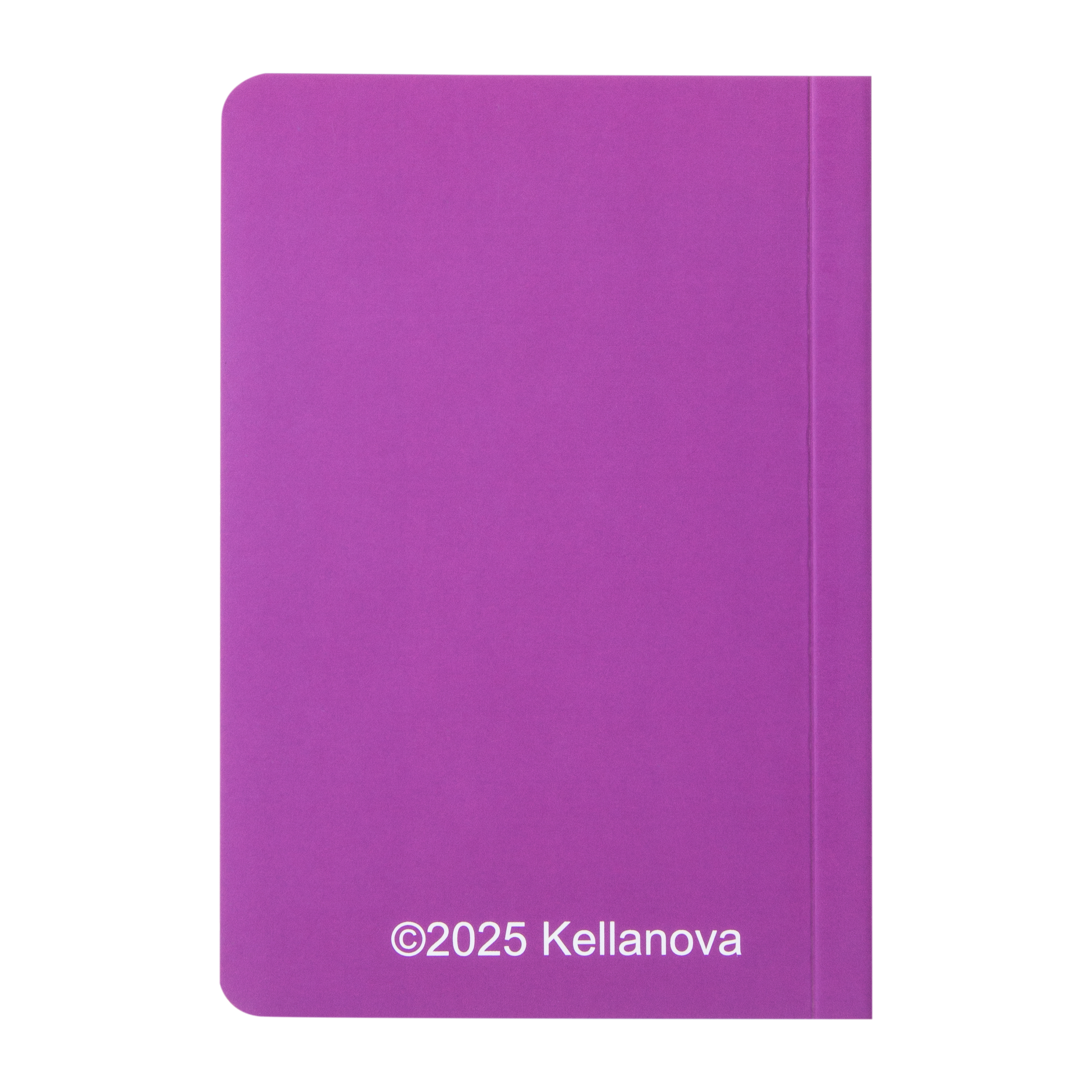 Pop-Tarts™ Mini Journal Book