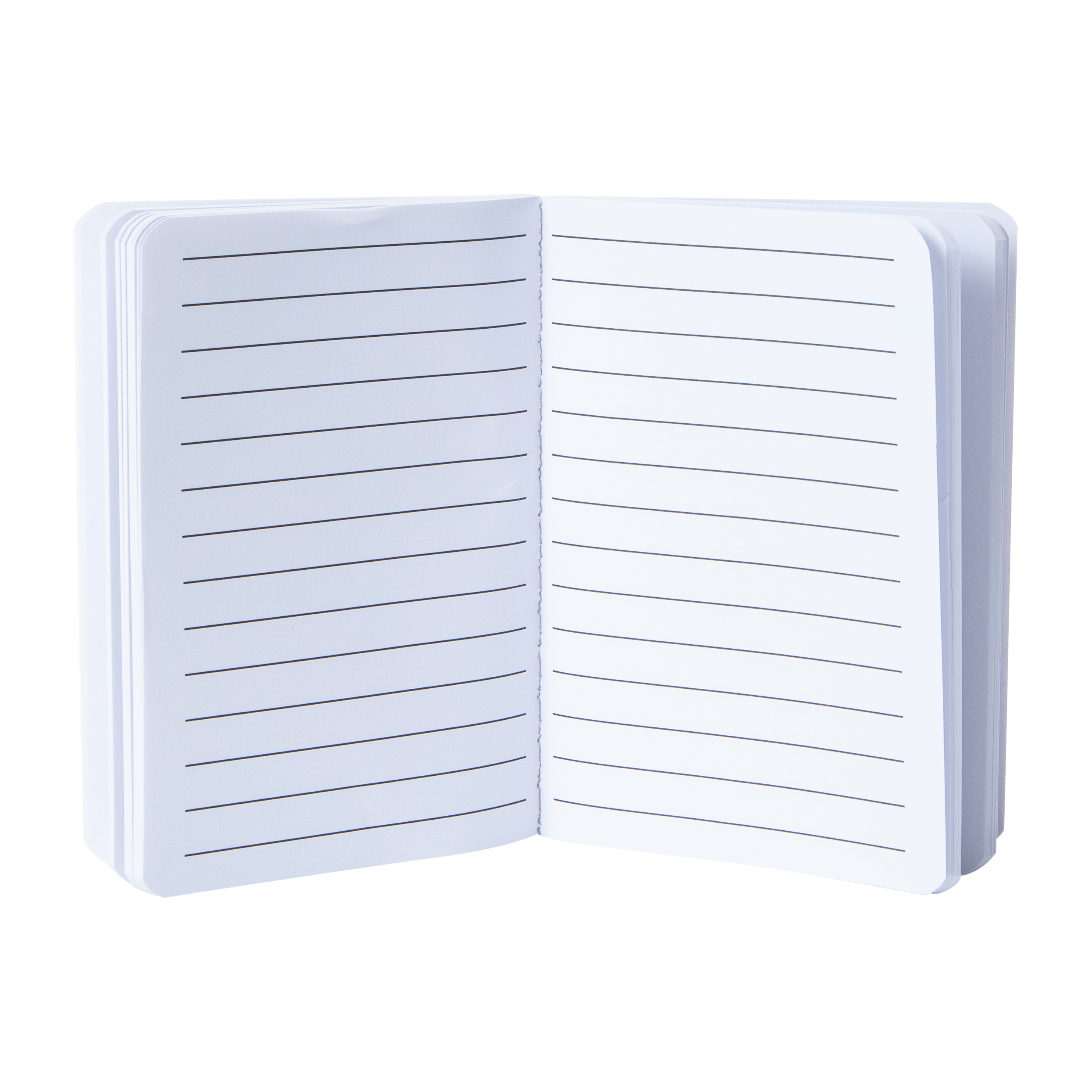 Eggo™ Mini Journal