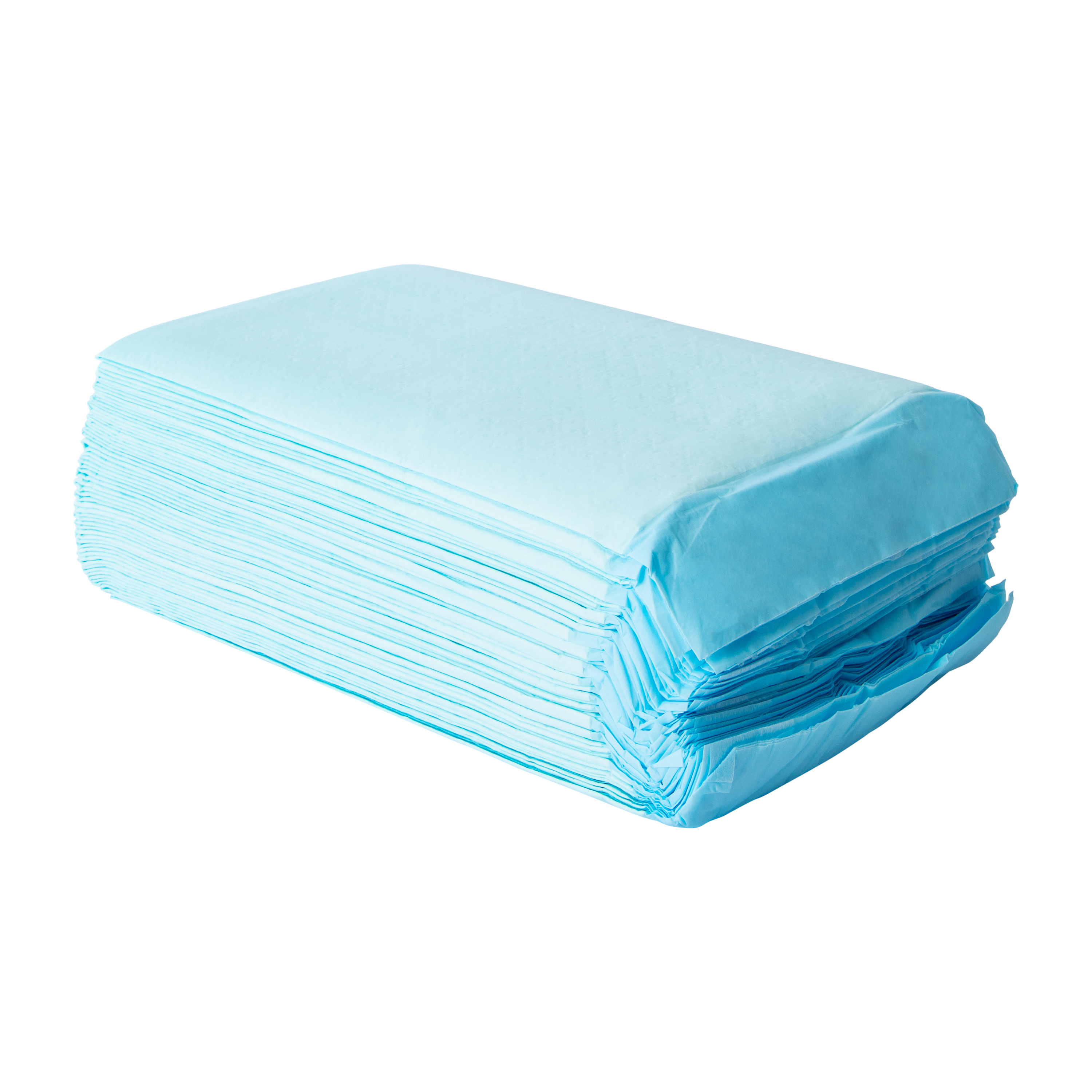 Pawsitively Fun! Pet Training Pads 30-Count