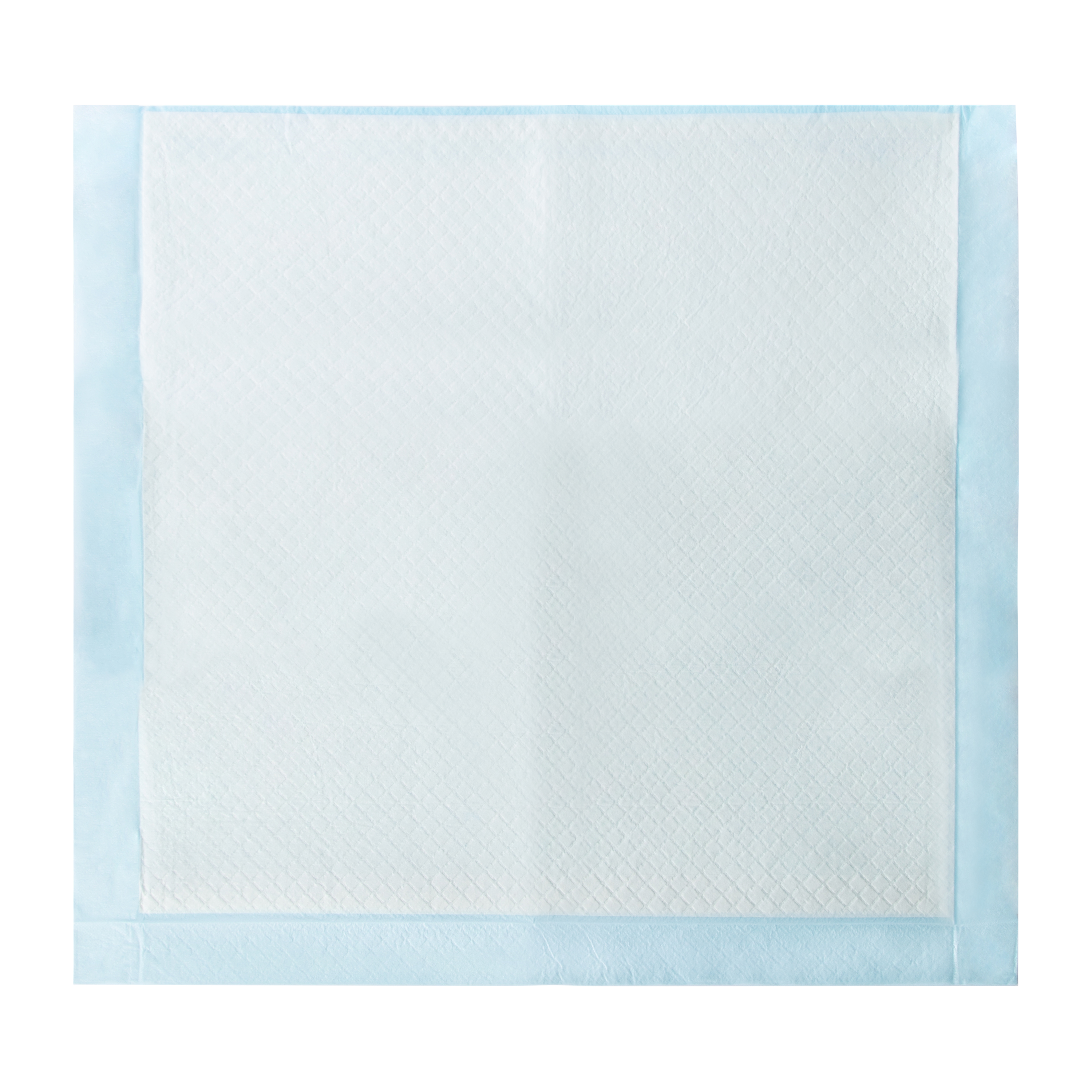 Pawsitively Fun! Pet Training Pads 30-Count