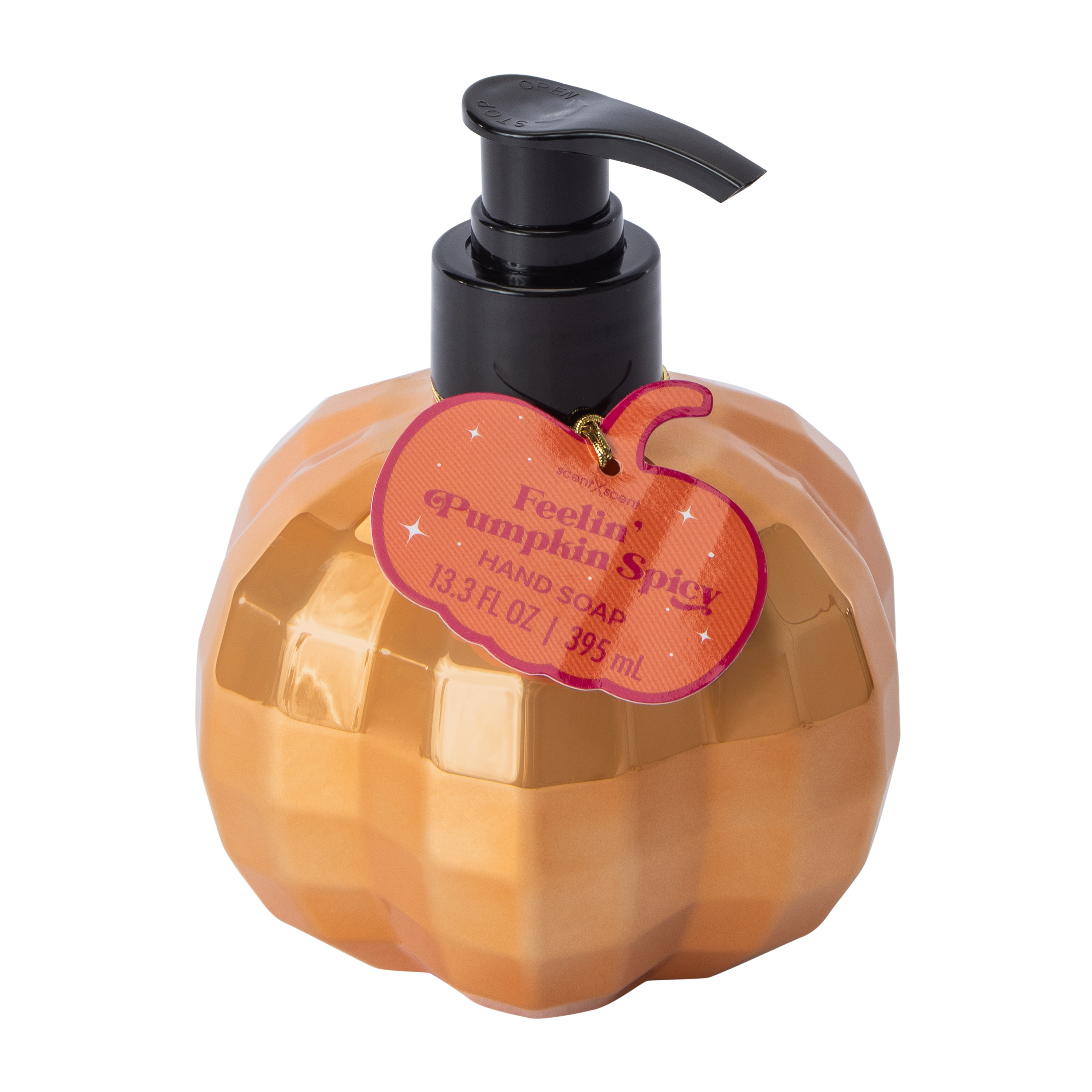 Feelin' Pumpkin Spicy Hand Soap 13.3oz