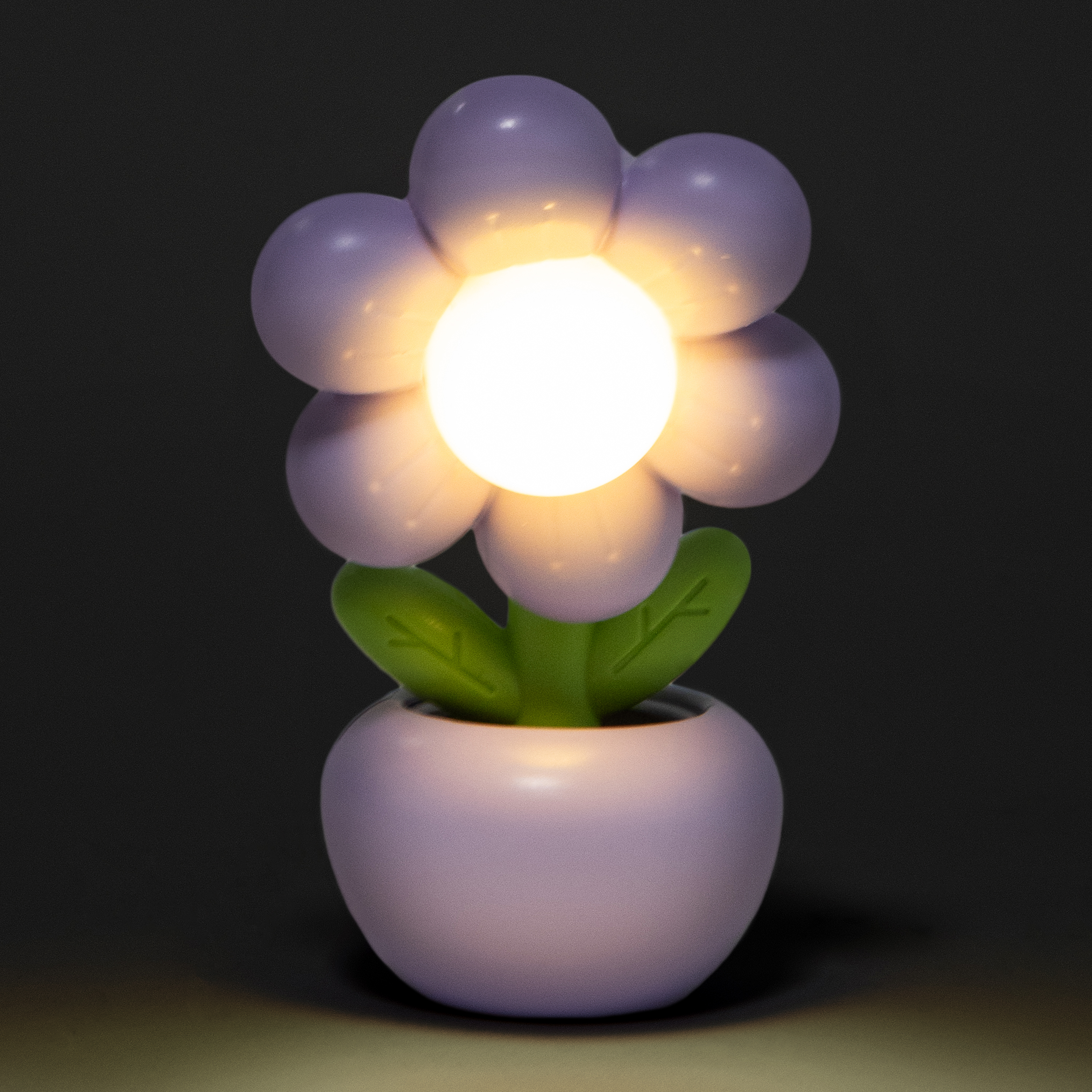 Mini Desk Lamp