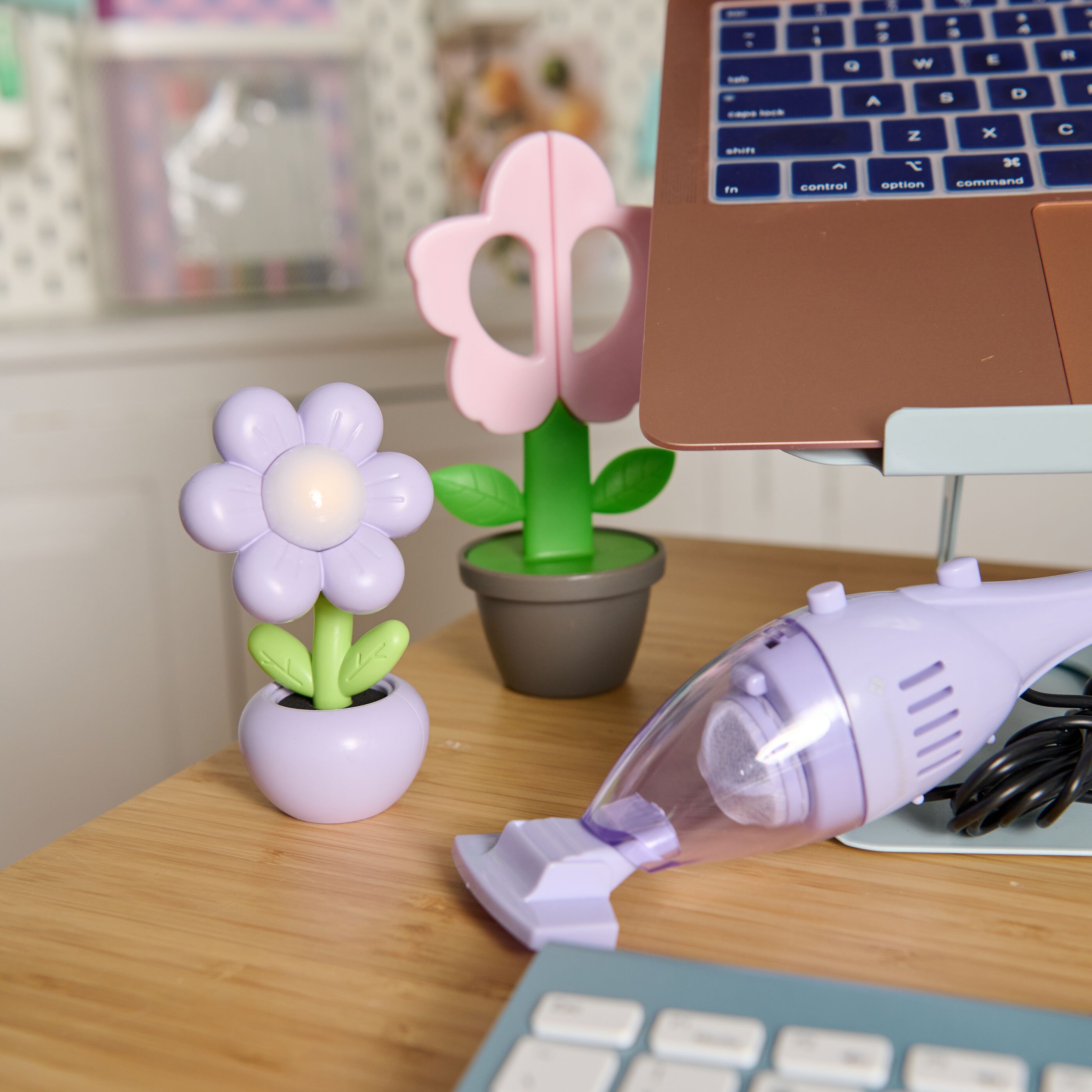 Mini Desk Lamp