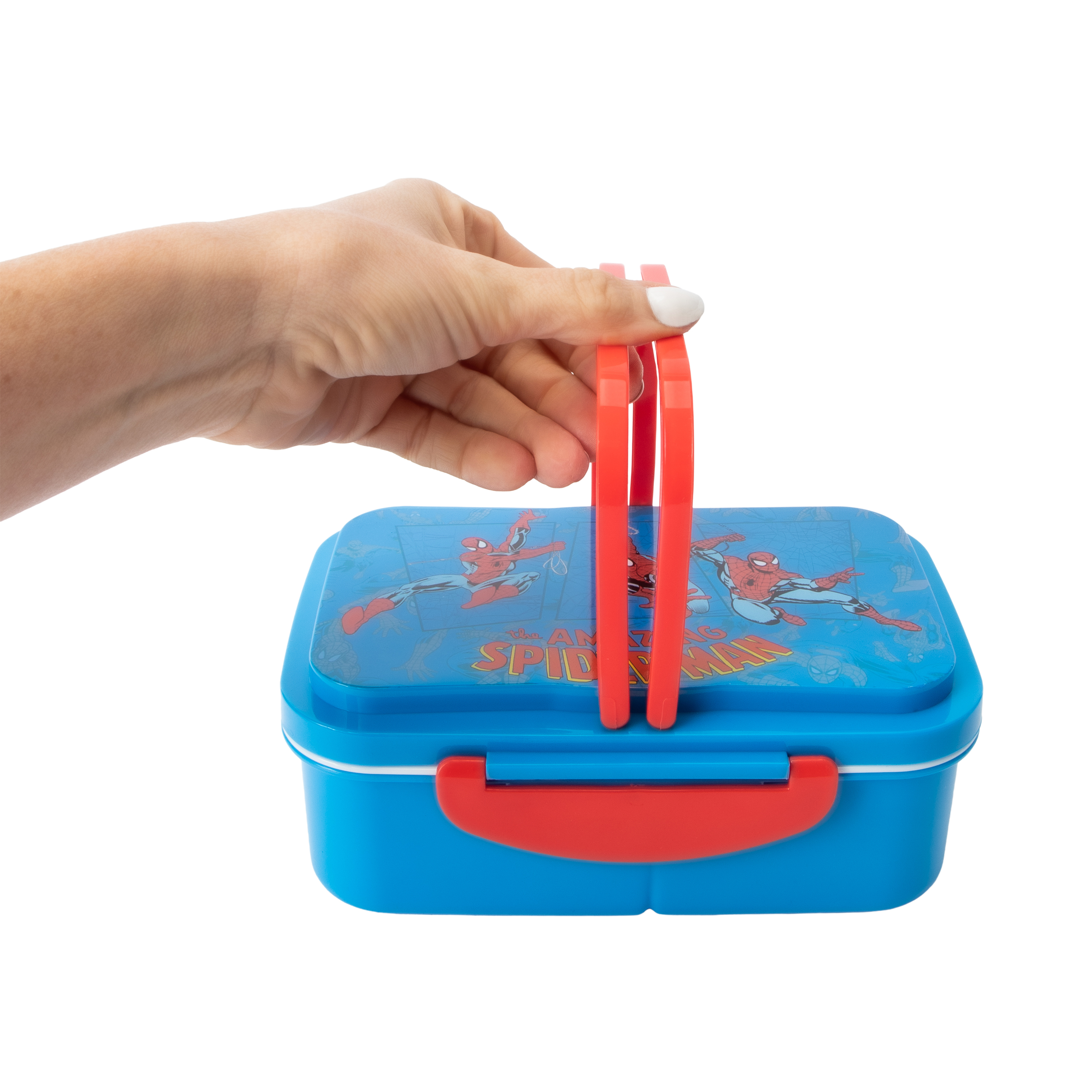 Disney Bento Box