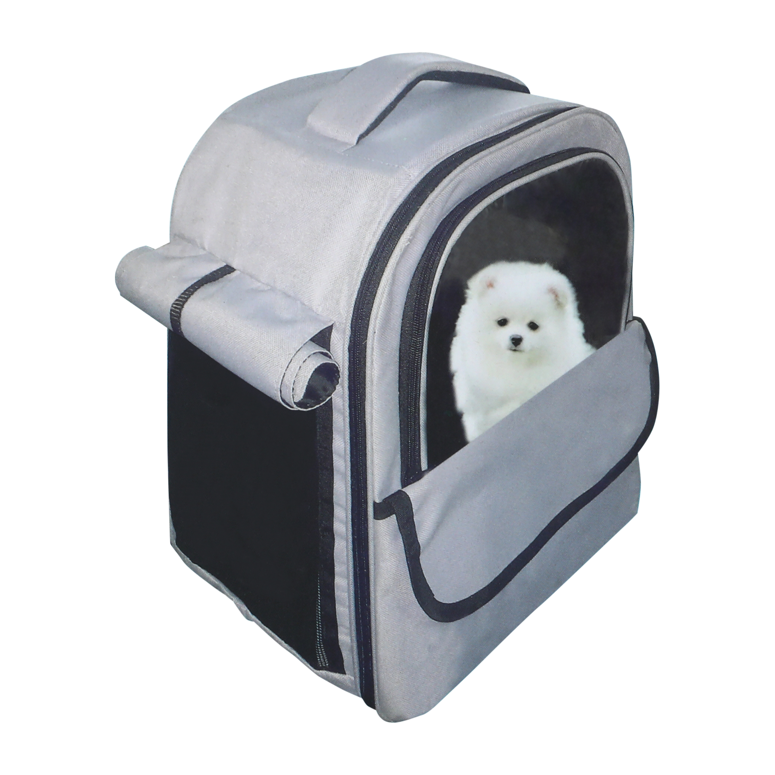 Pawsitively Fun! Breathable Pet Carrier