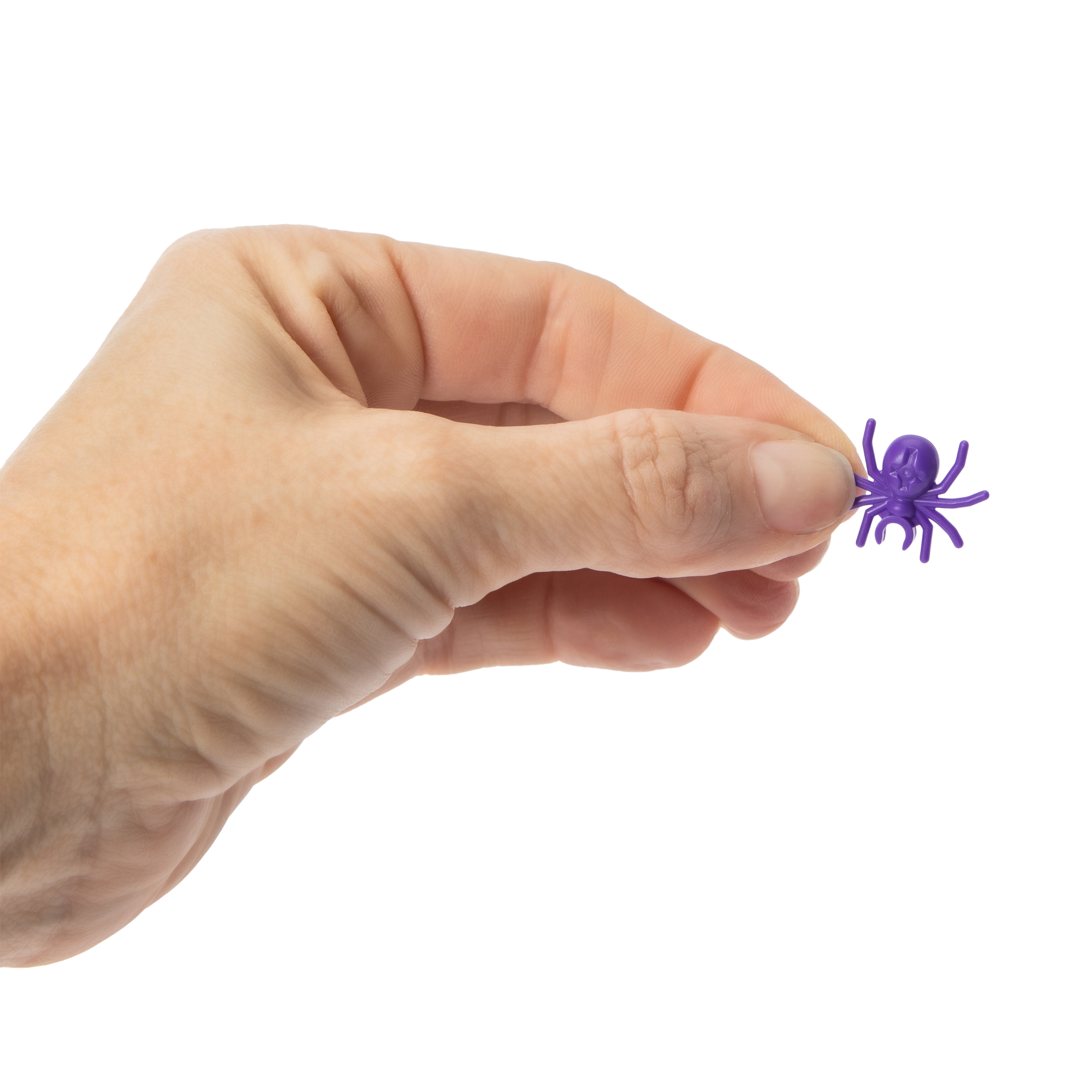 Block Tech® Halloween Spooky Succulents Set