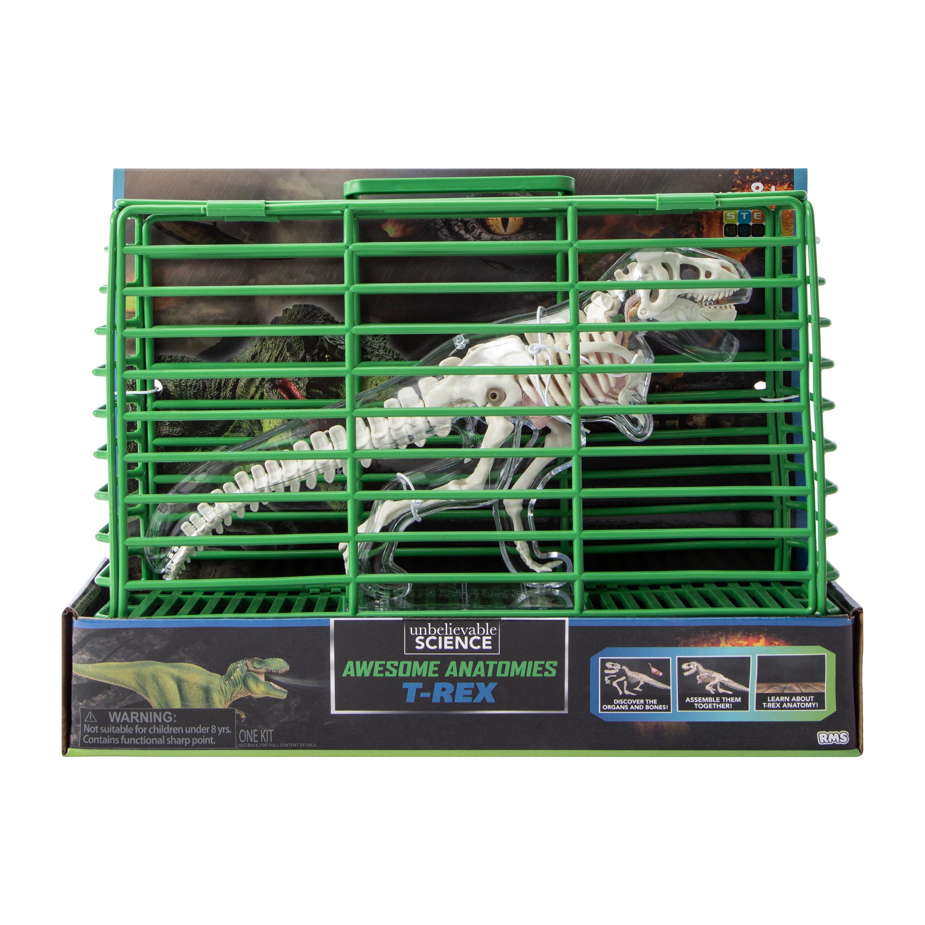 Unbelievable Science Awesome Anatomies Kit