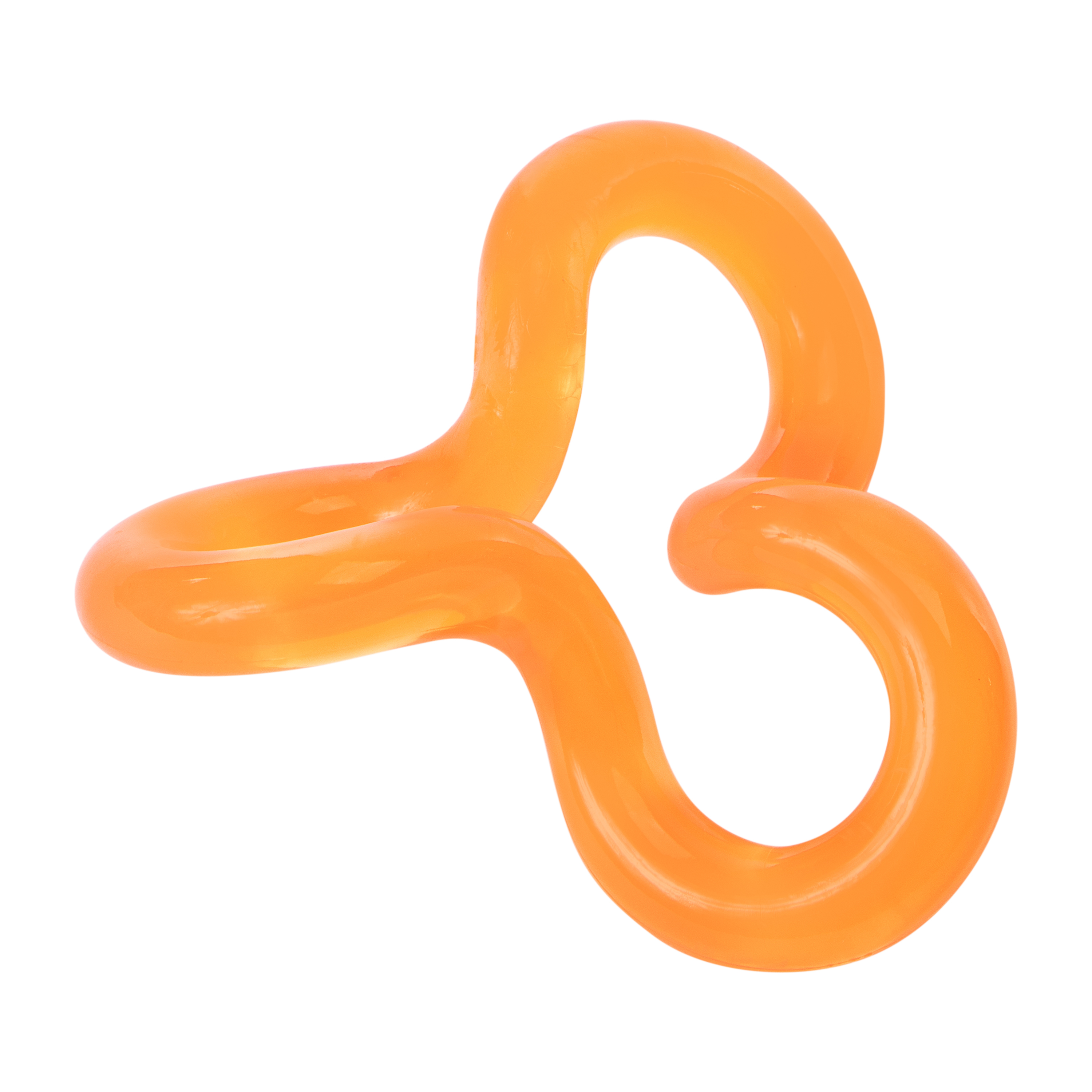 Squiggly Dog Toy