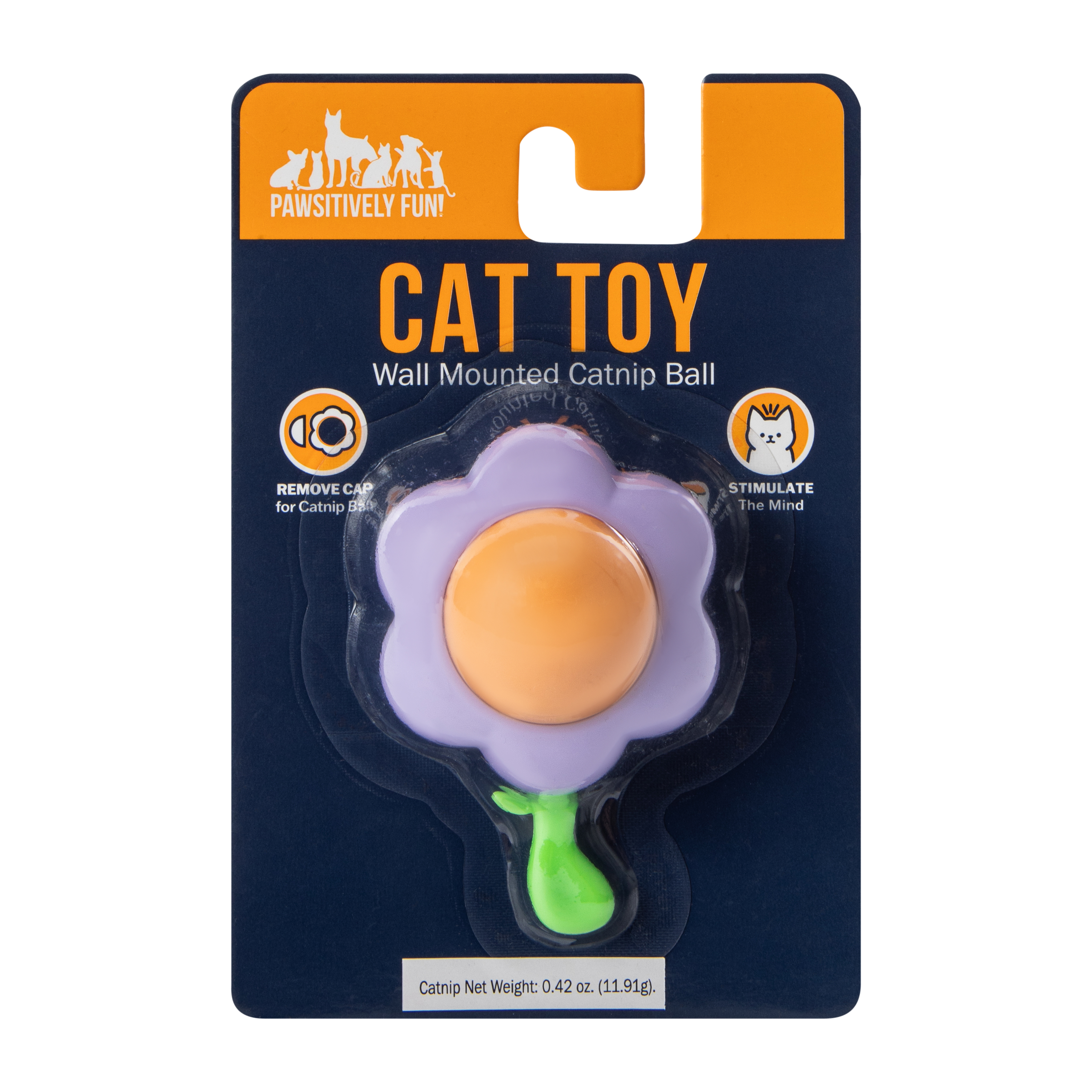 Pawsitively Fun! Wall Mounted Catnip Ball Toy