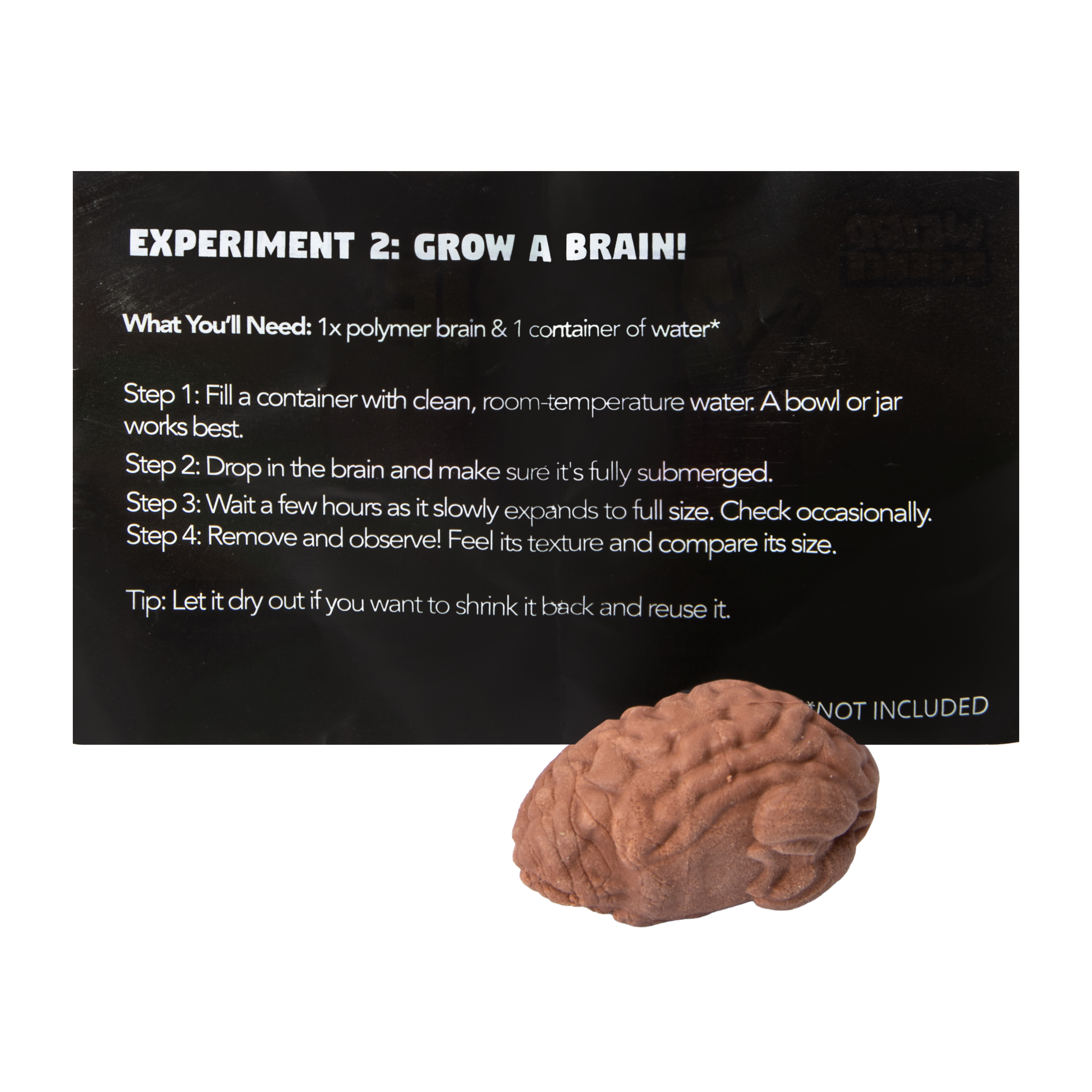 Weird Science Zombie Anatomy Set