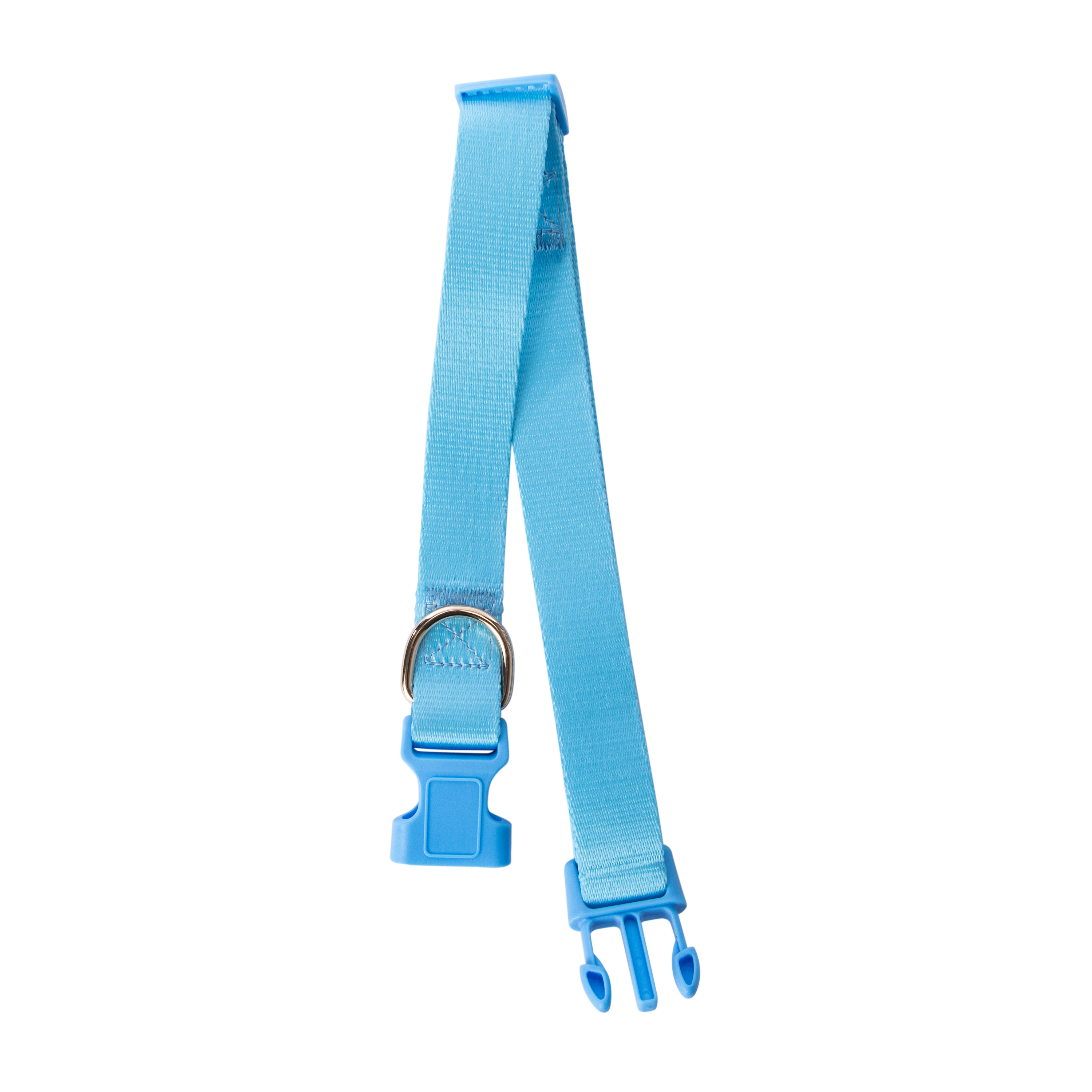Dog Collar