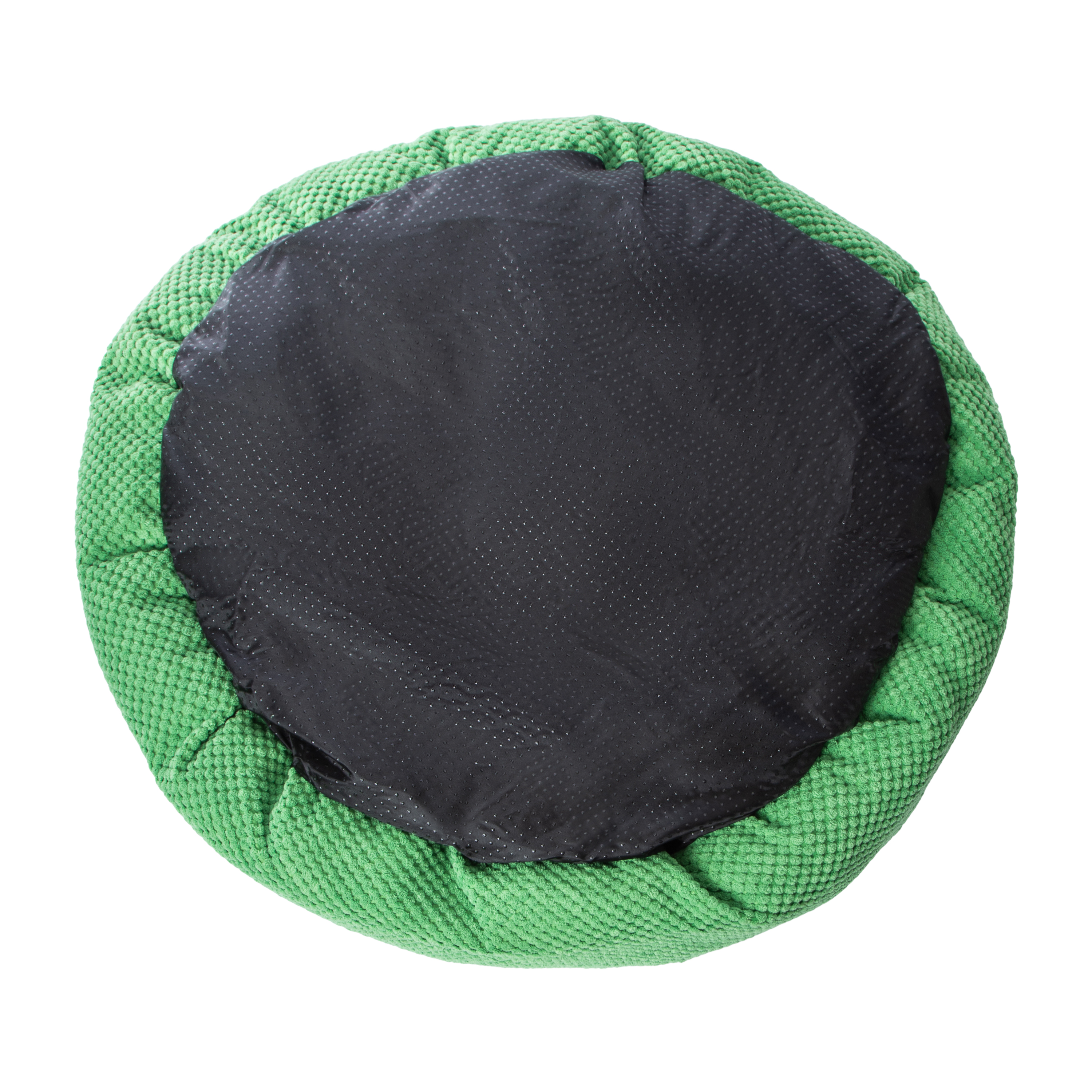 Pawsitively Fun! Frog Bed