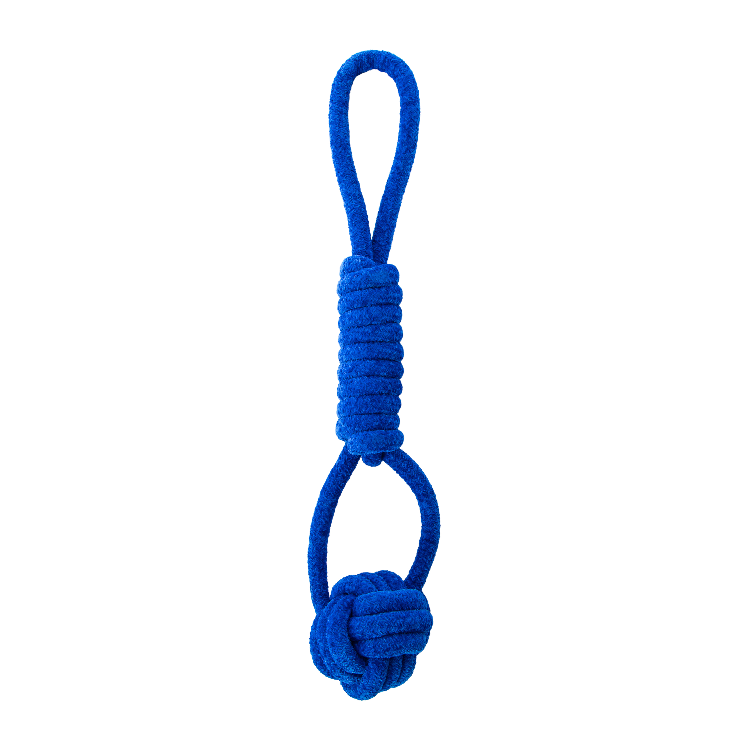 Pawsitively Fun! Rope Tug Toy