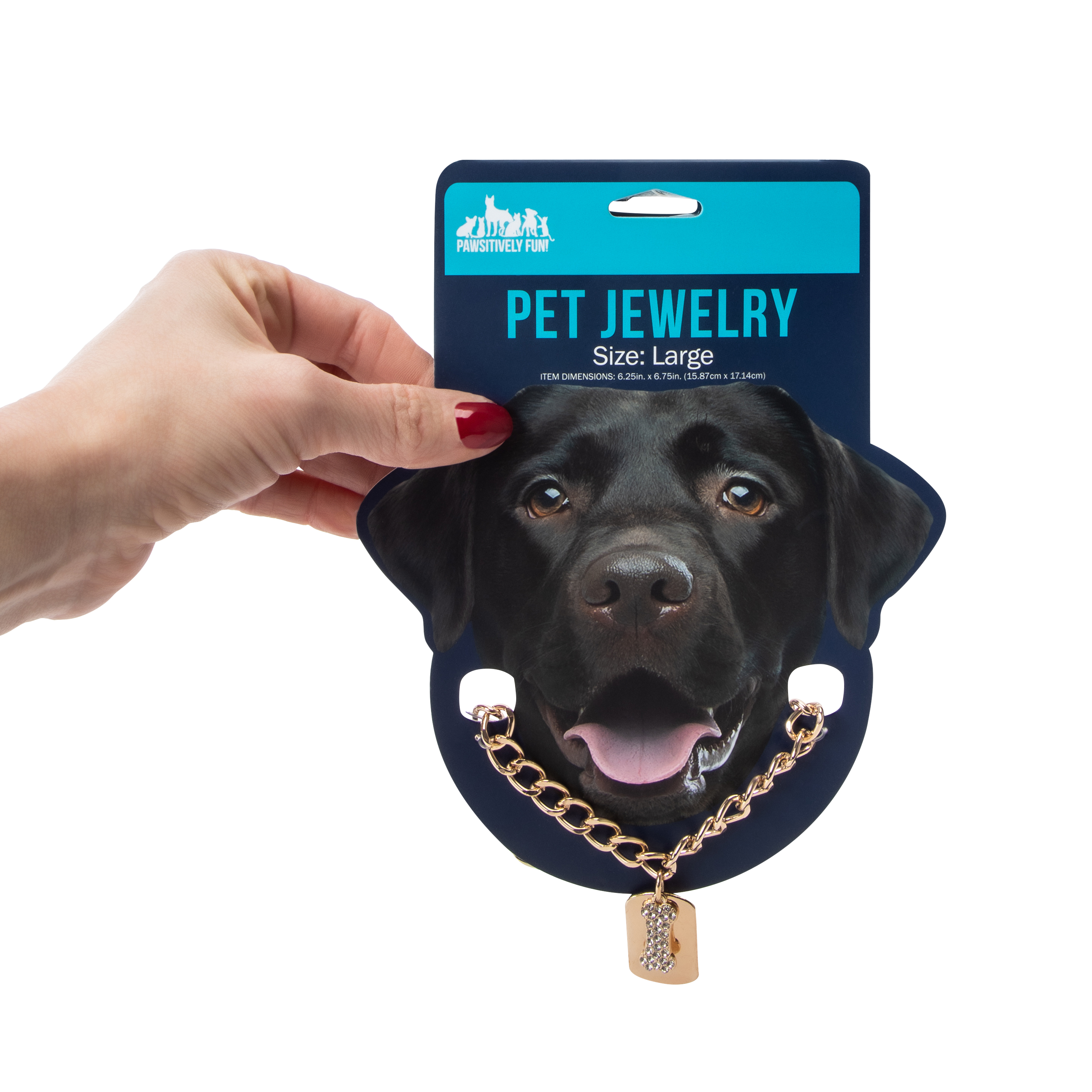 Pawsitively Fun! Pet Jewelry