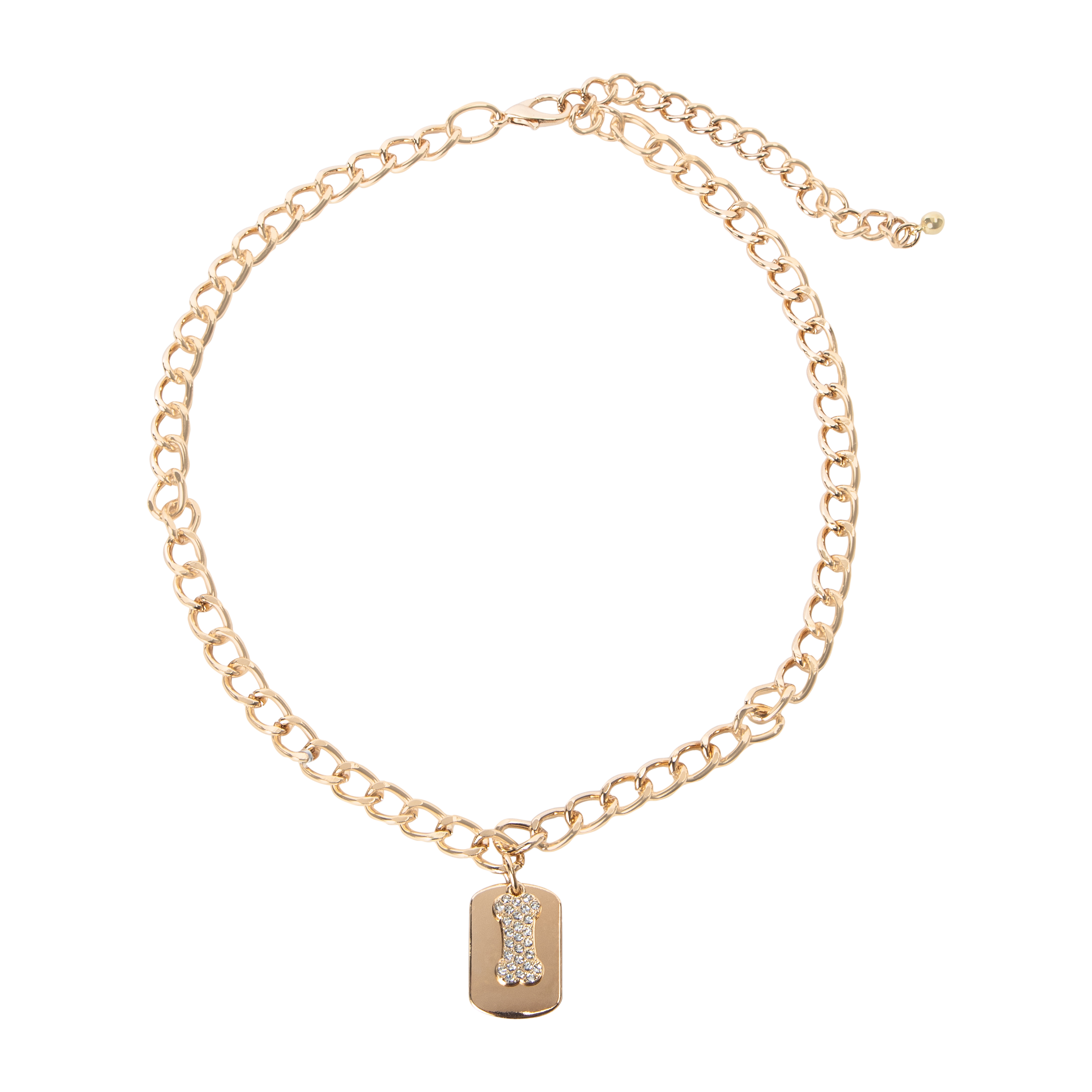 Pawsitively Fun! Pet Jewelry