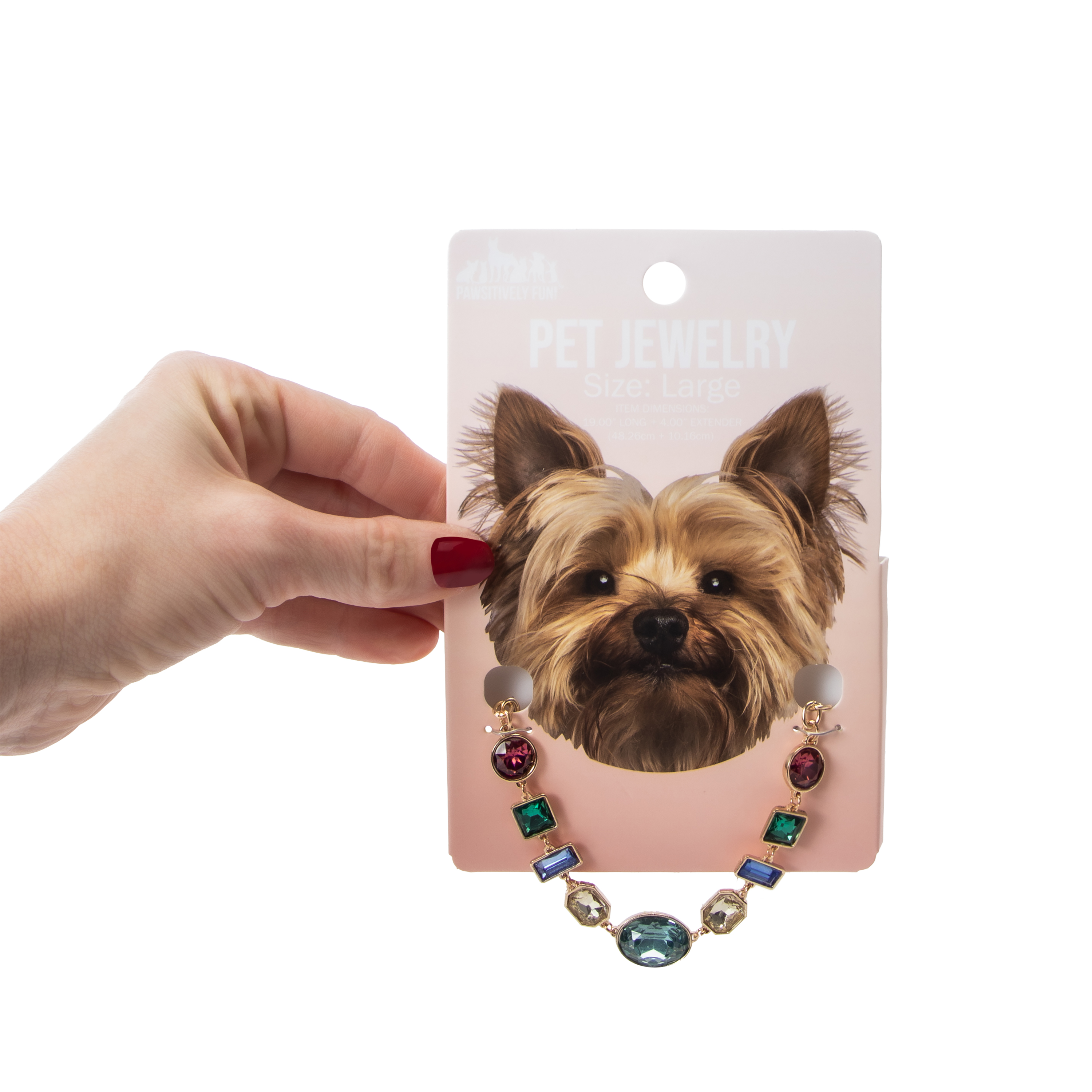Pawsitively Fun! Large Pet Jewelry