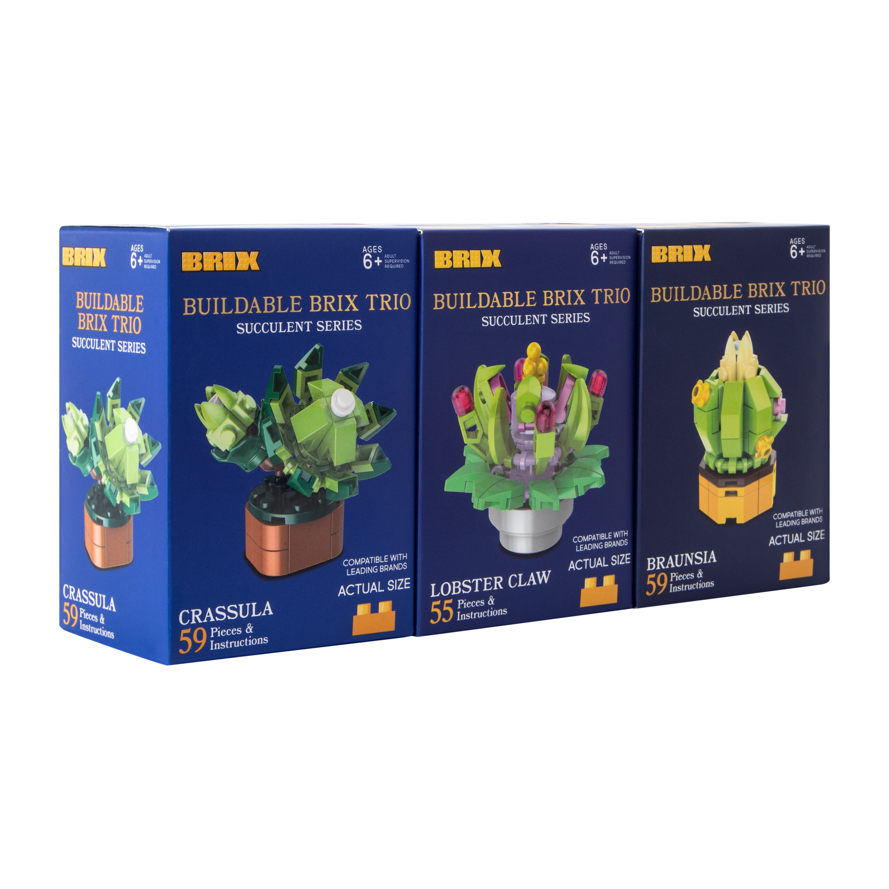 Succulent Buildable Brix Trio 3-Pack