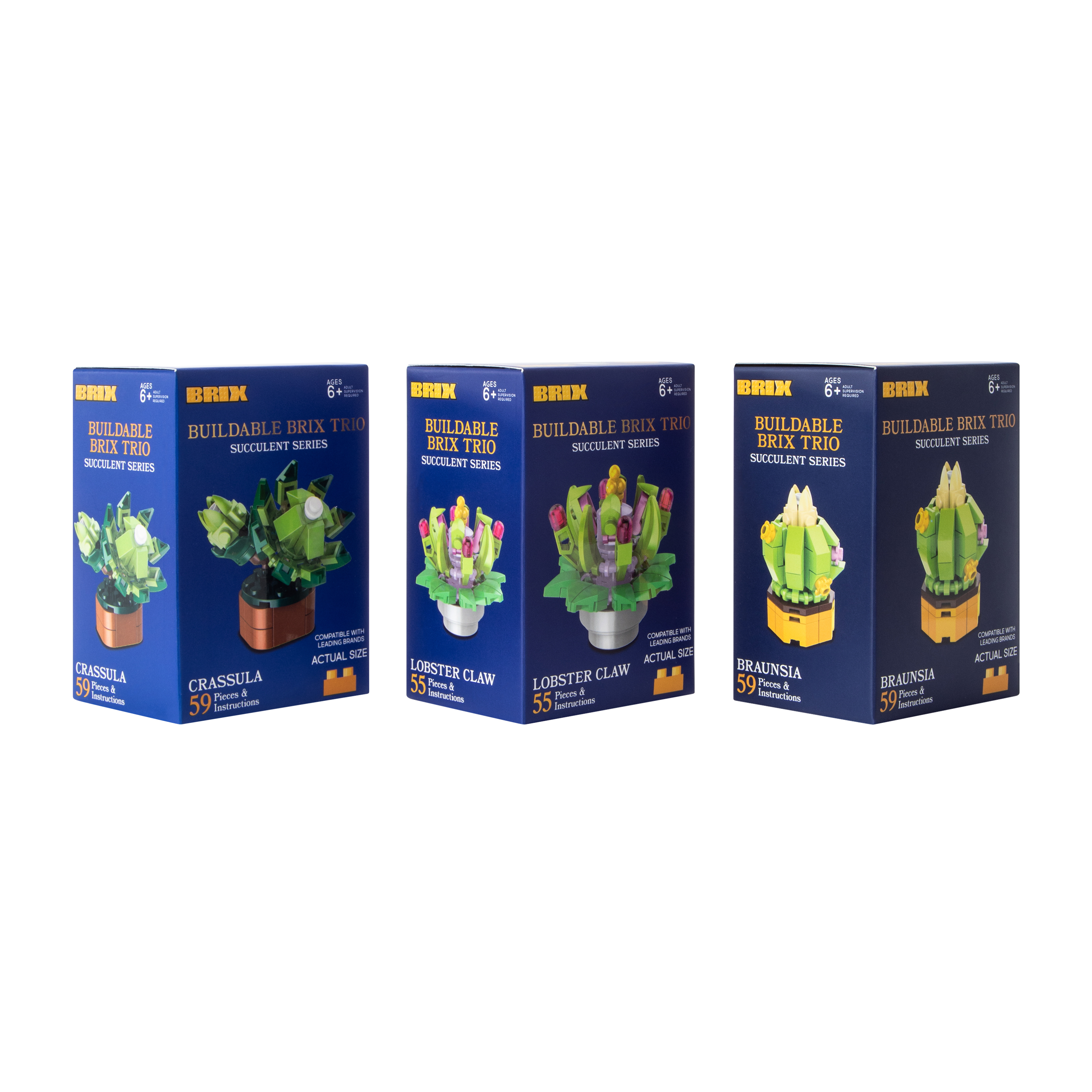 Succulent Buildable Brix Trio 3-Pack