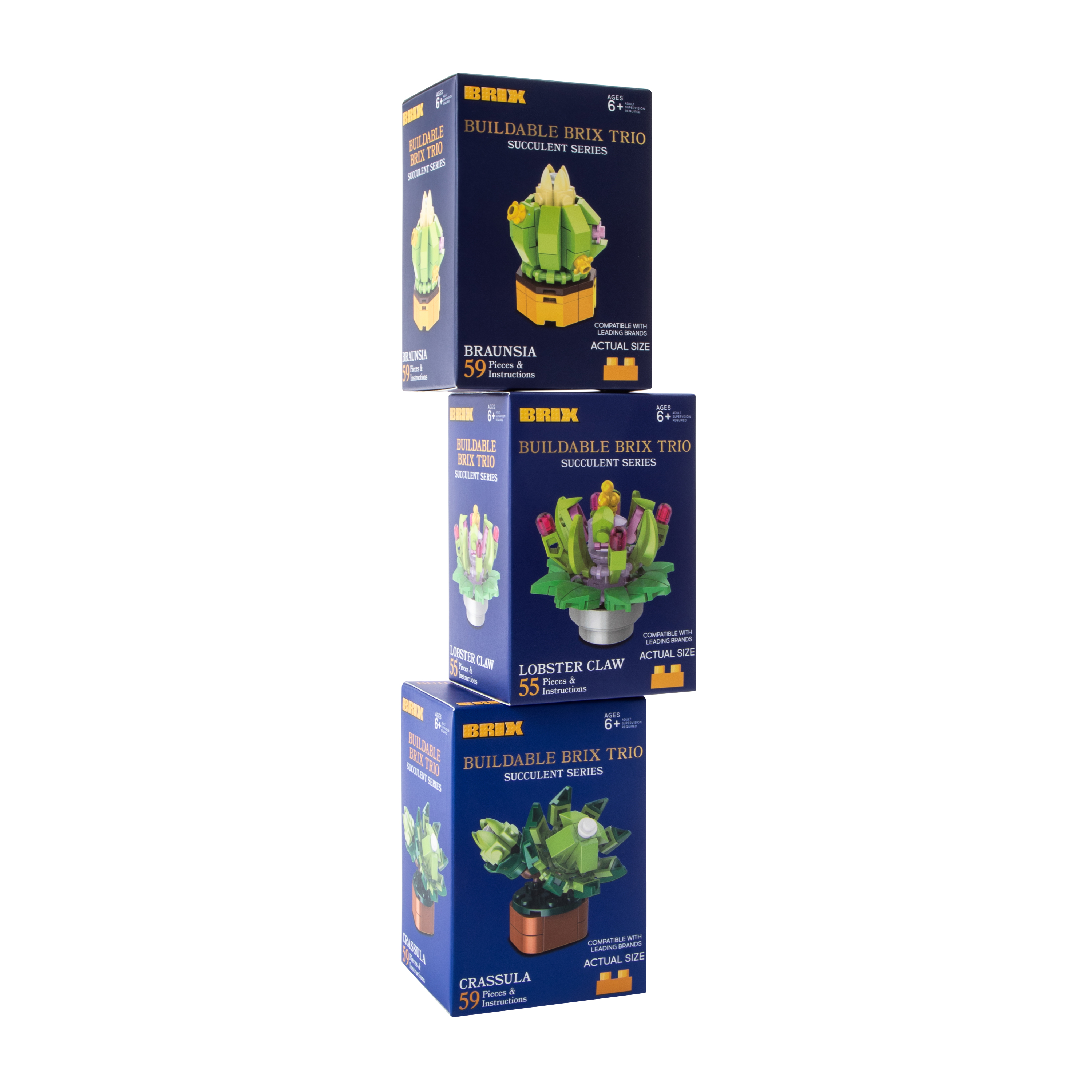 Succulent Buildable Brix Trio 3-Pack