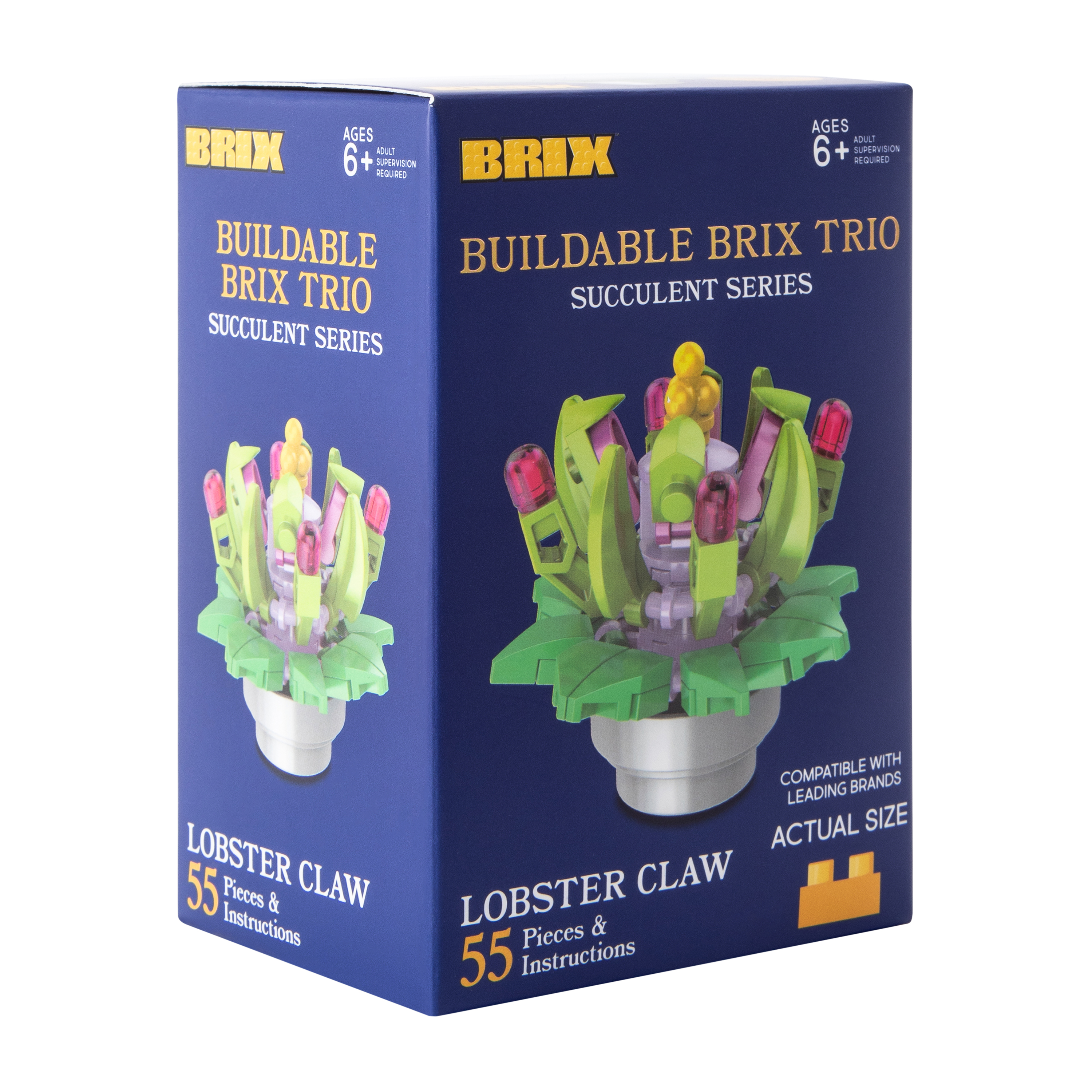 Succulent Buildable Brix Trio 3-Pack