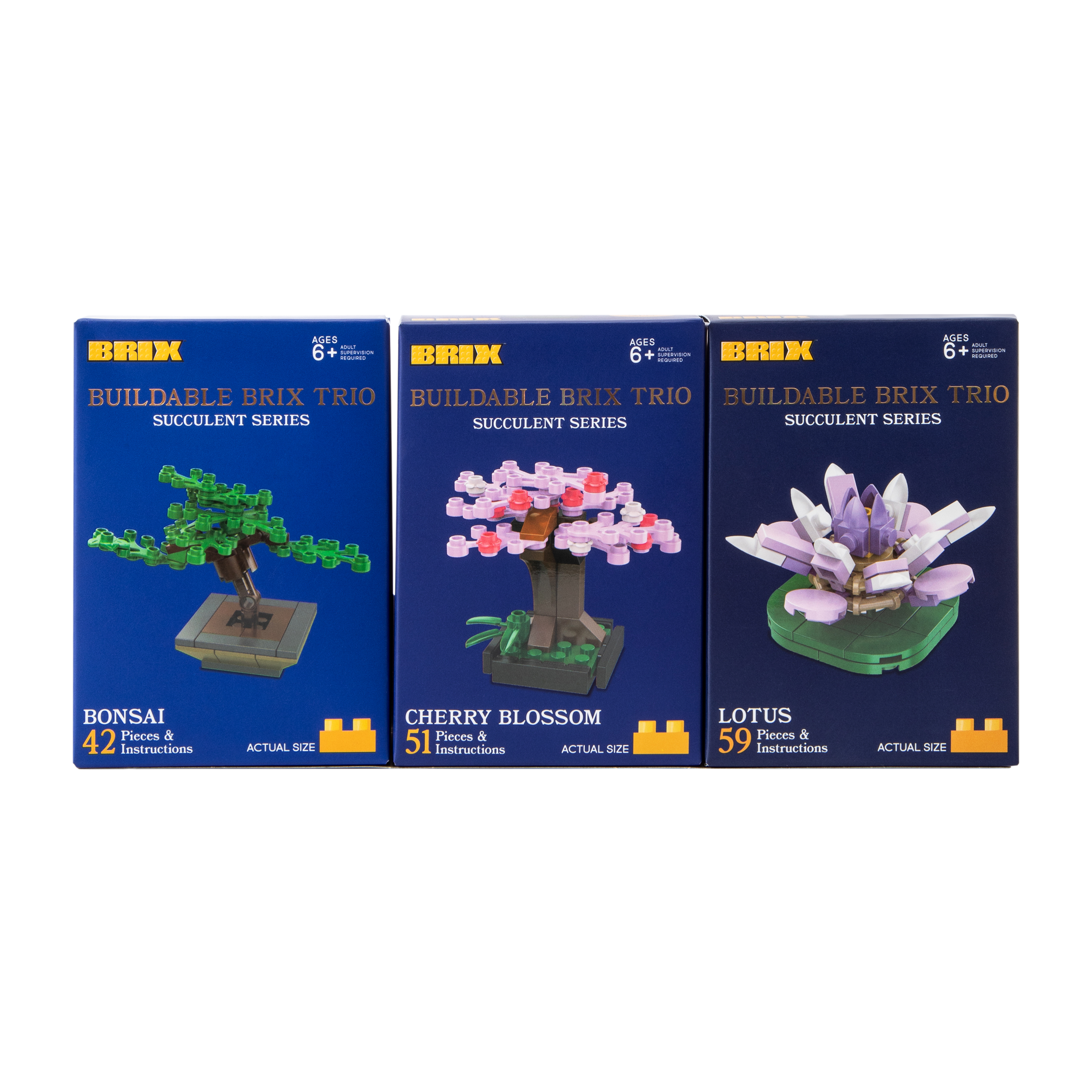 Succulent Buildable Brix Trio 3-Pack