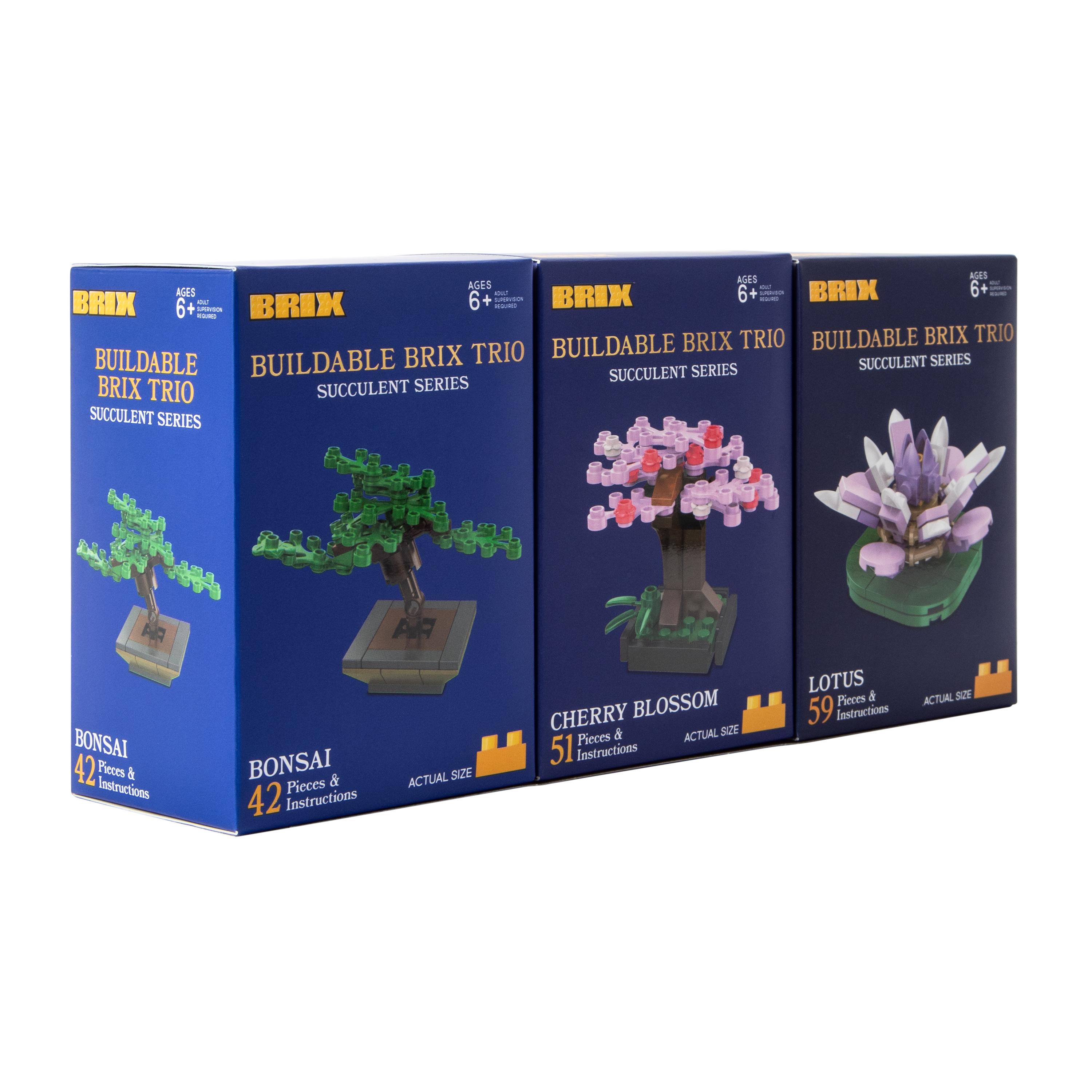 Succulent Buildable Brix Trio 3-Pack