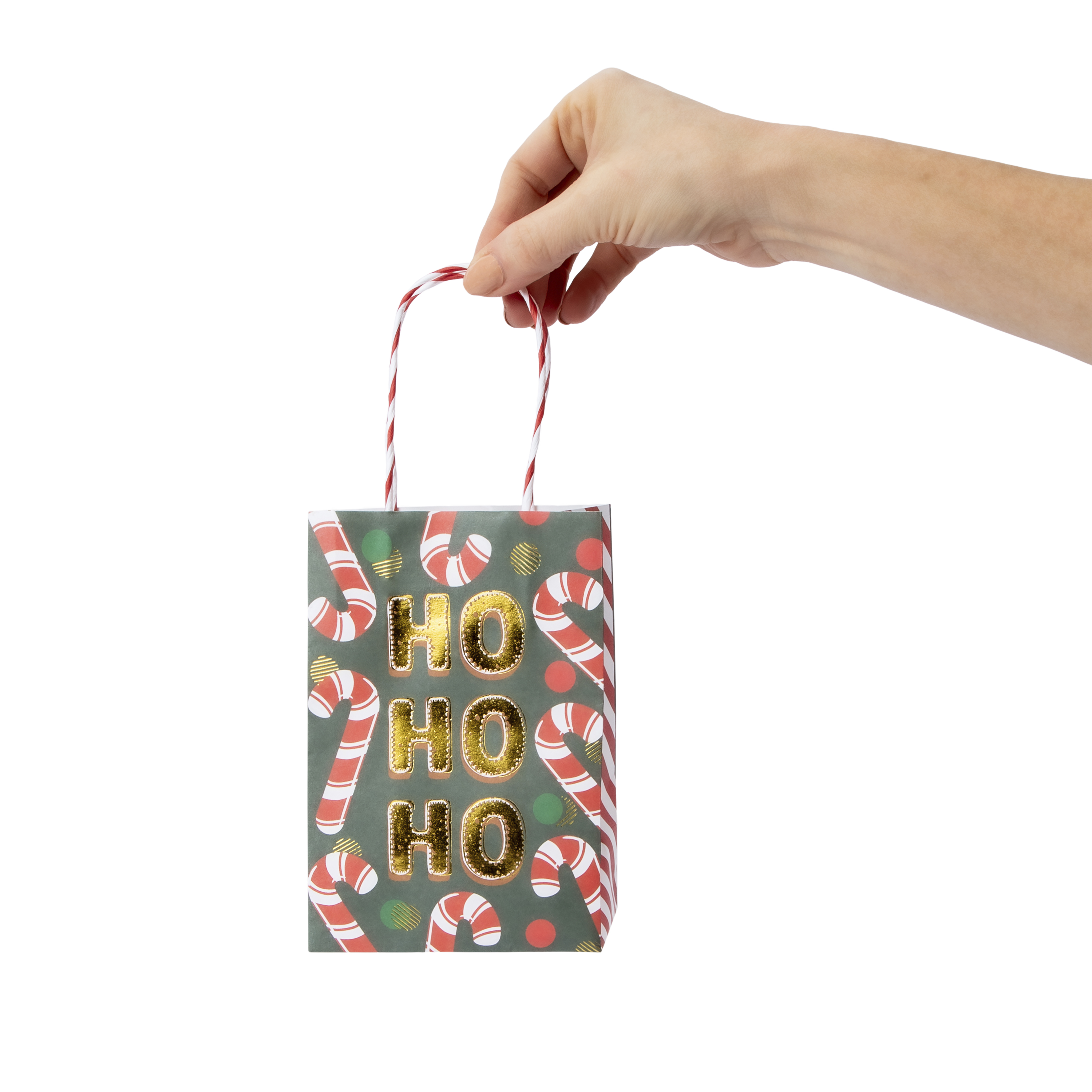 Christmas Holiday Kraft Bags -Pack