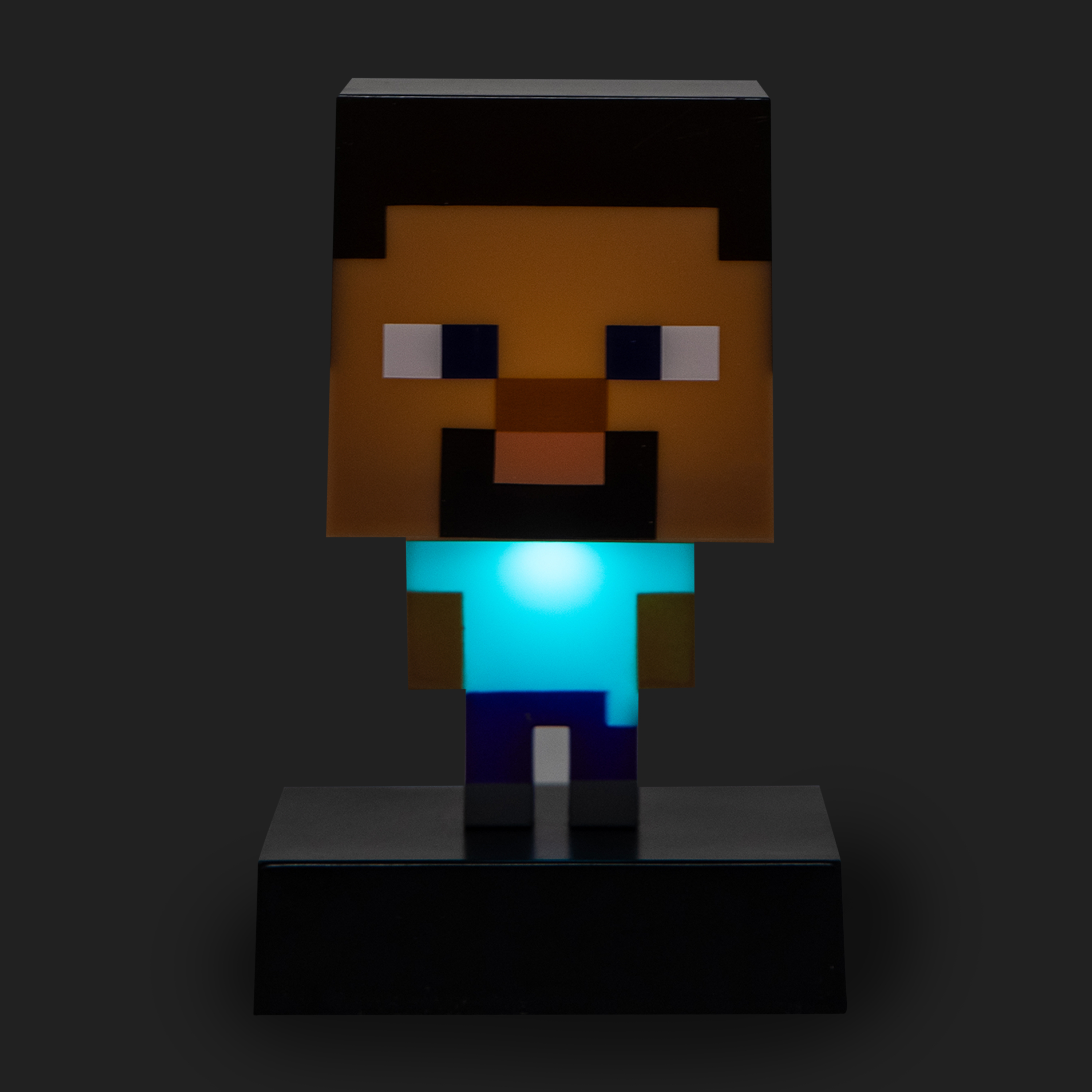 Icons Minecraft Steve Light 1-Piece