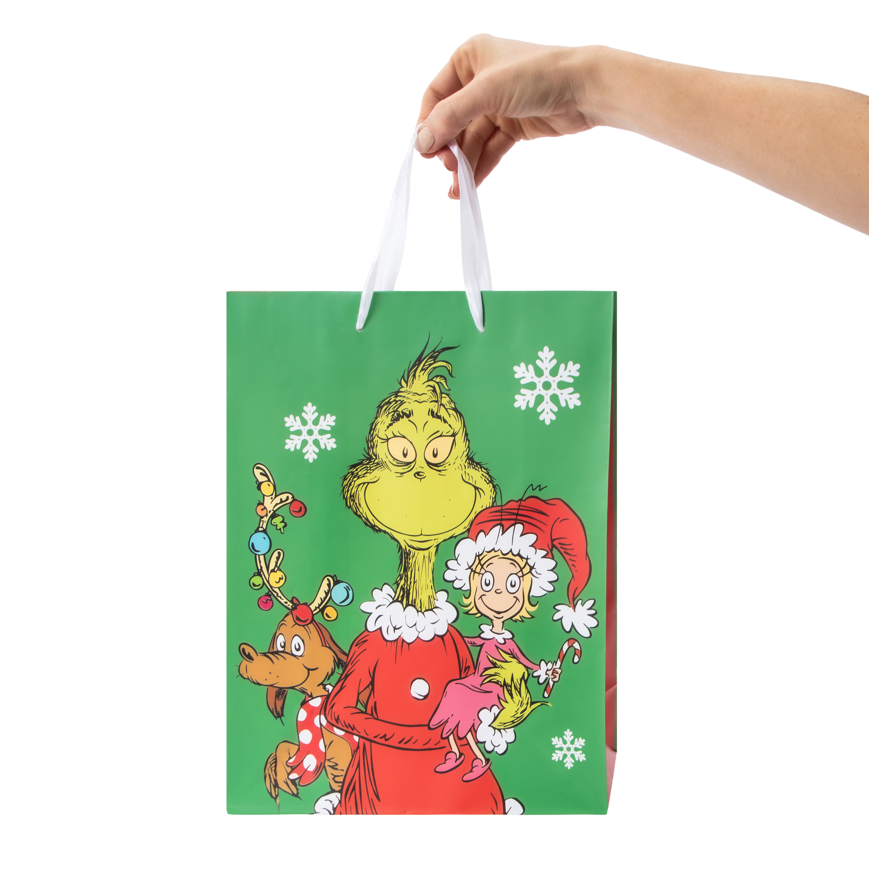 Christmas Dr. Seuss Grinch Gift Bag