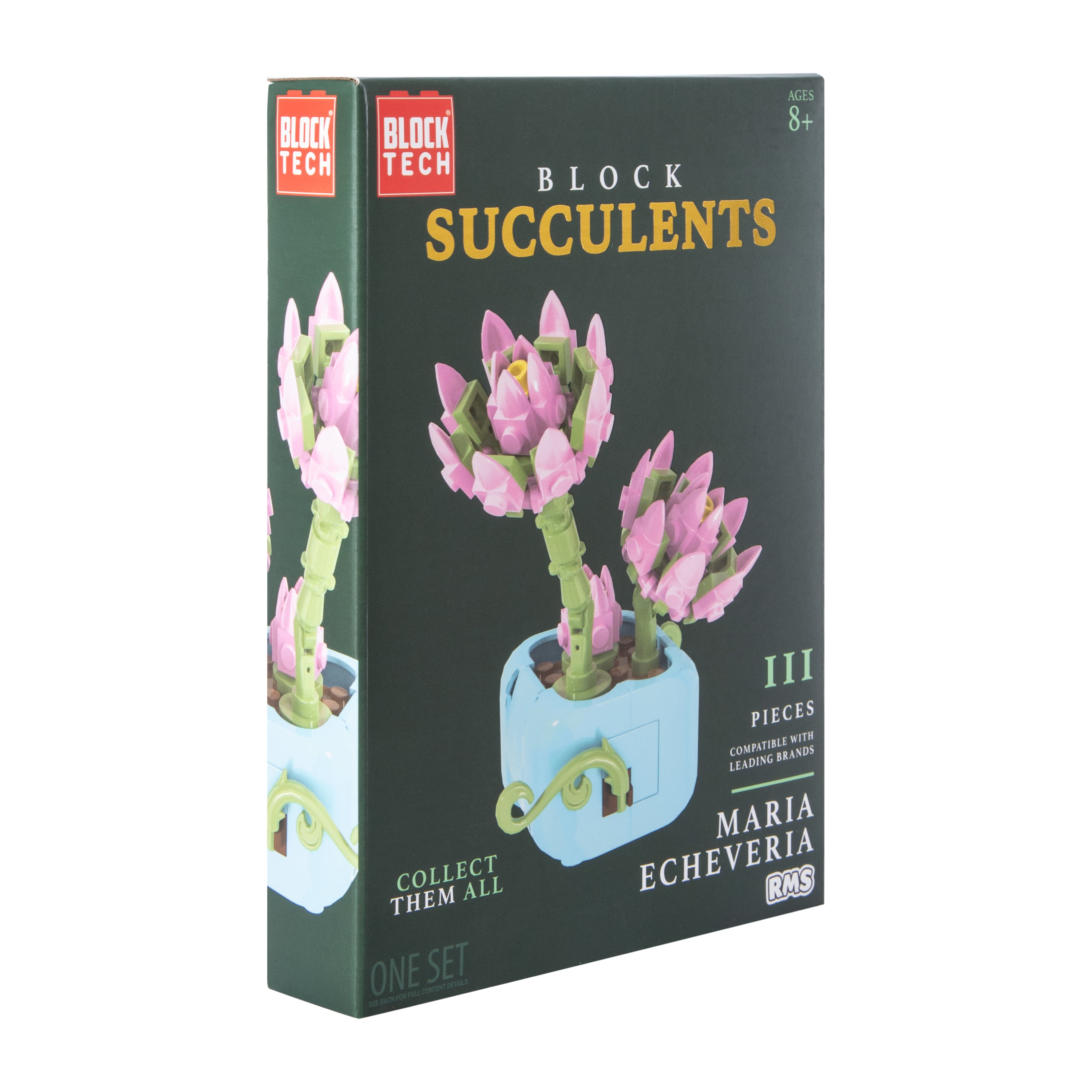 Block Tech® Block Succulents Set | Five Below