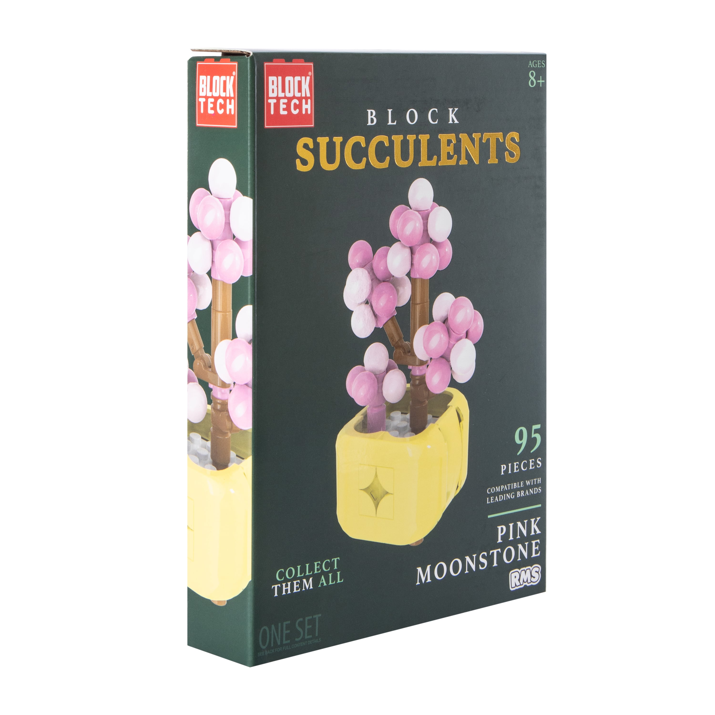Block Tech® Block Succulents Set | Five Below