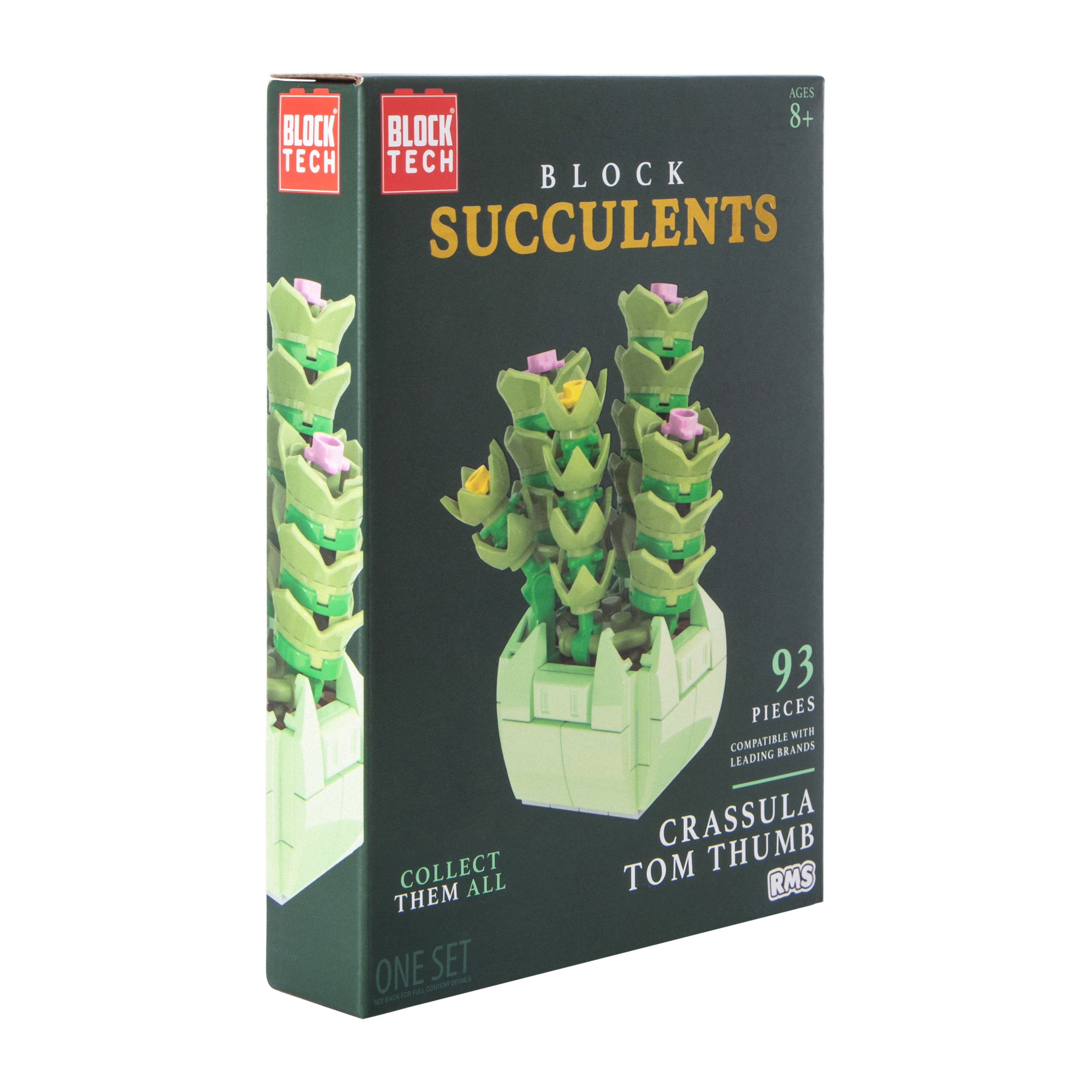 Block Tech® Block Succulents Set | Five Below