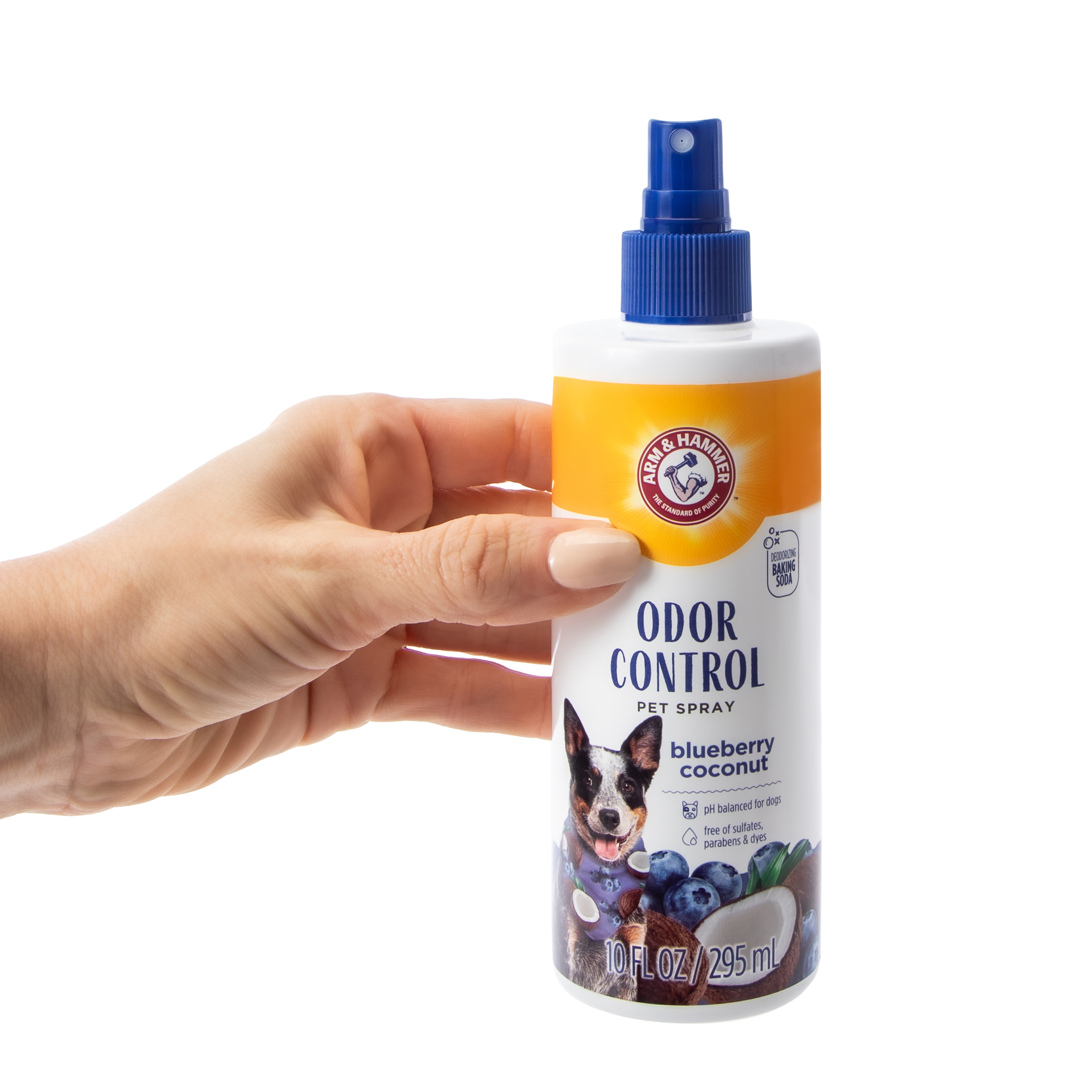 Arm & Hammer™ Odor Control Blueberry Coconut Pet Spray 10oz