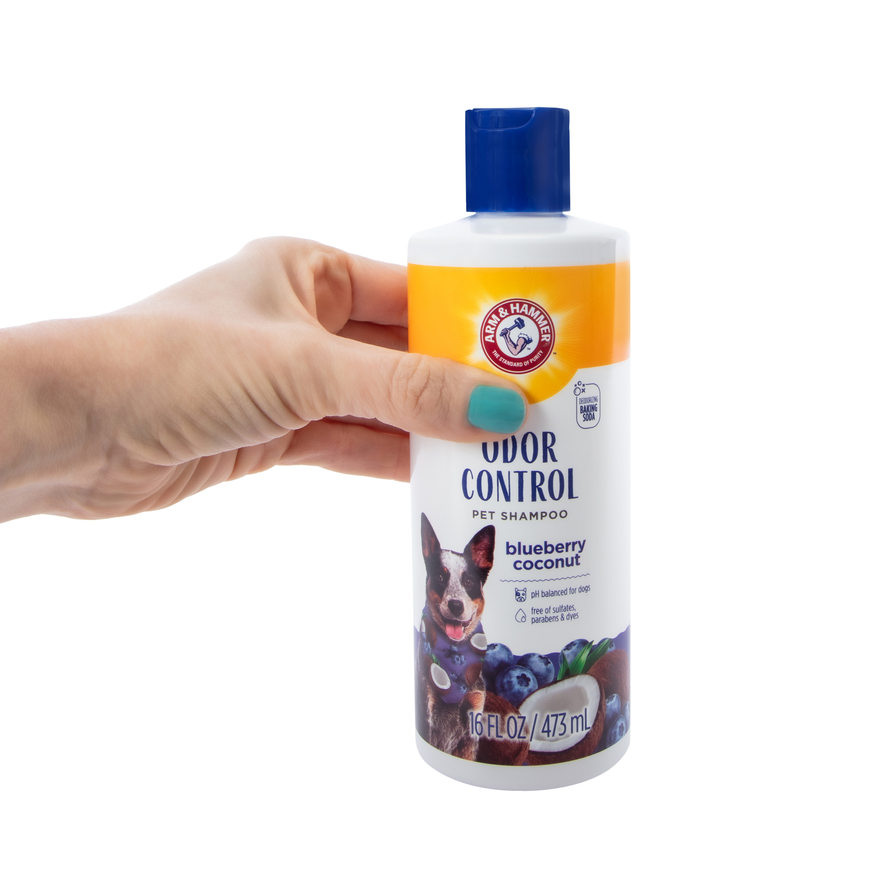 Arm & Hammer™ Odor Control Blueberry Coconut Pet Shampoo 16oz