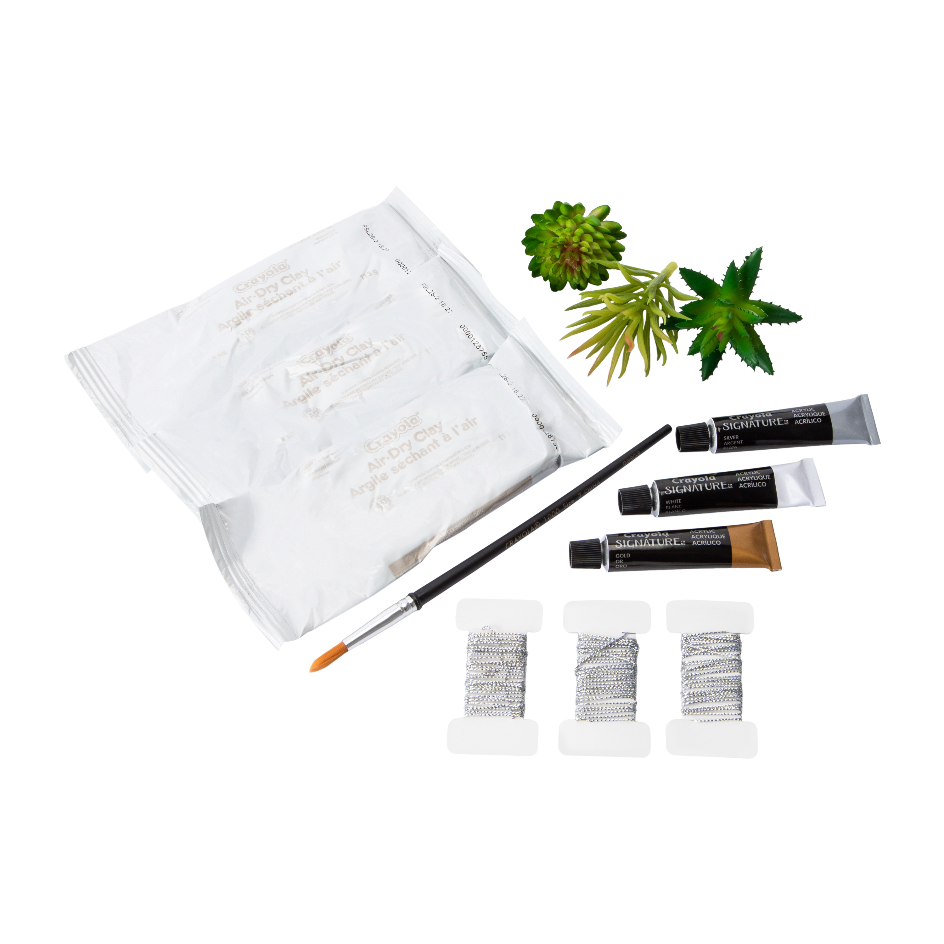 Crayola Signature™ Make Your Own Hanging Planters