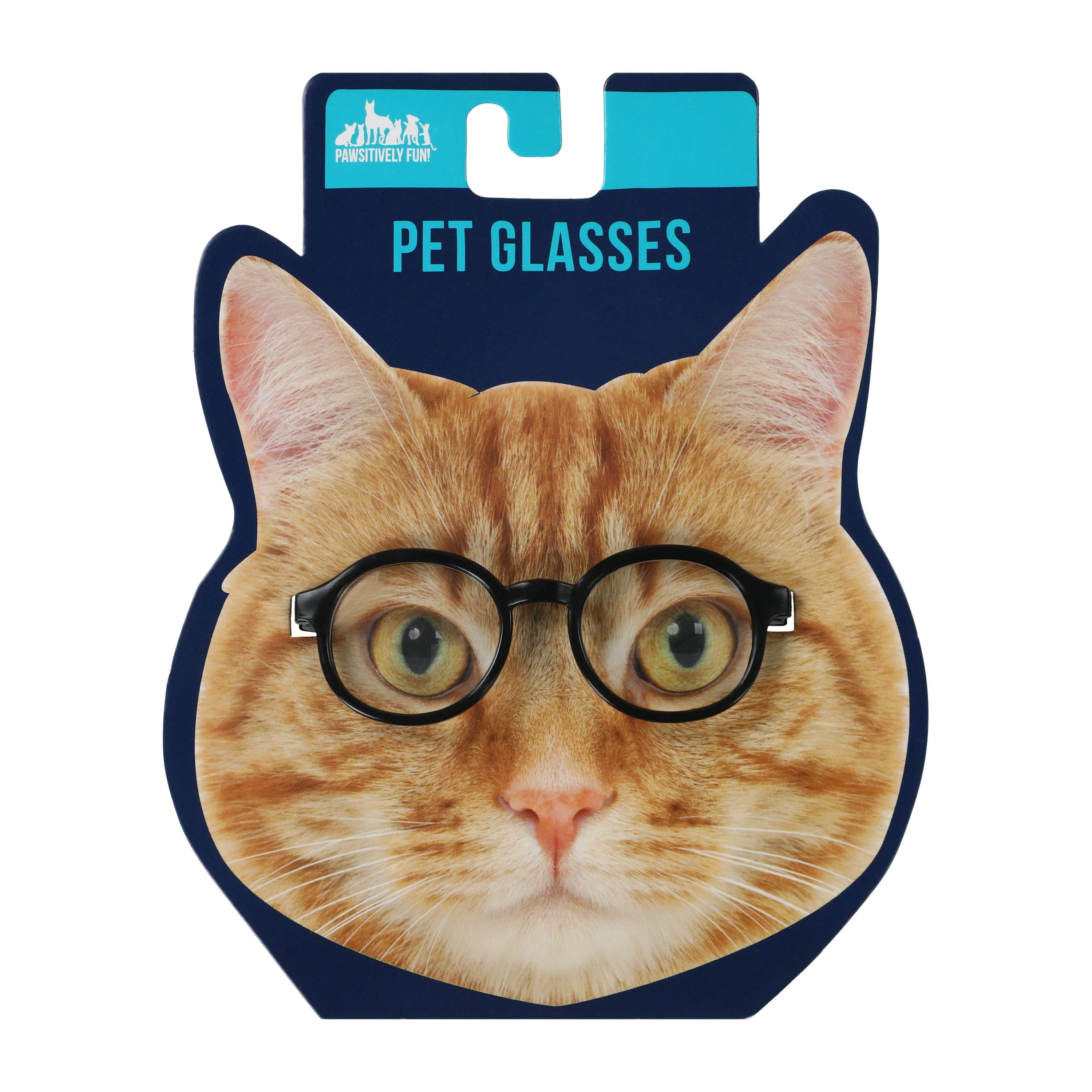 Pet Glasses