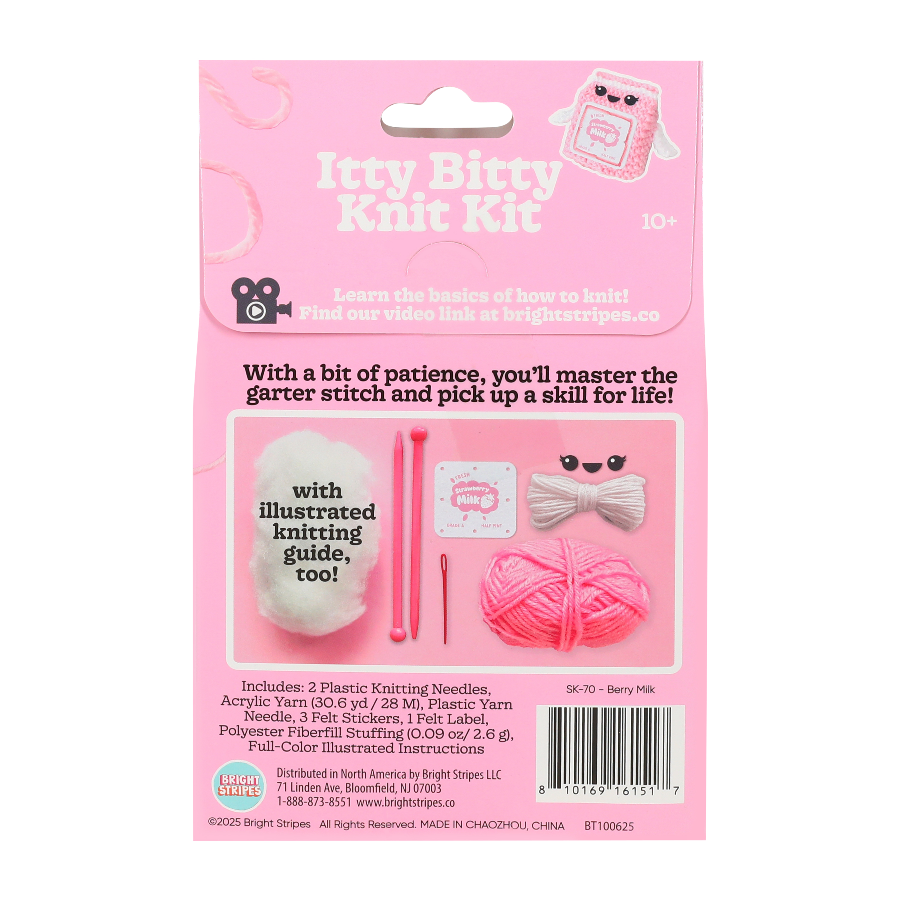 Itty Bitty Knit Kit Set