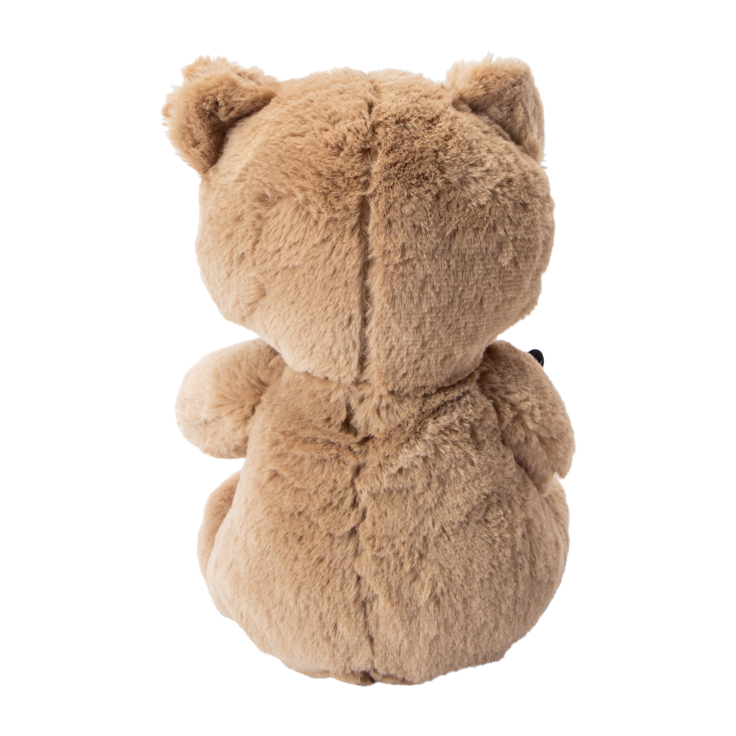 Valentine's Day Teddy Bear