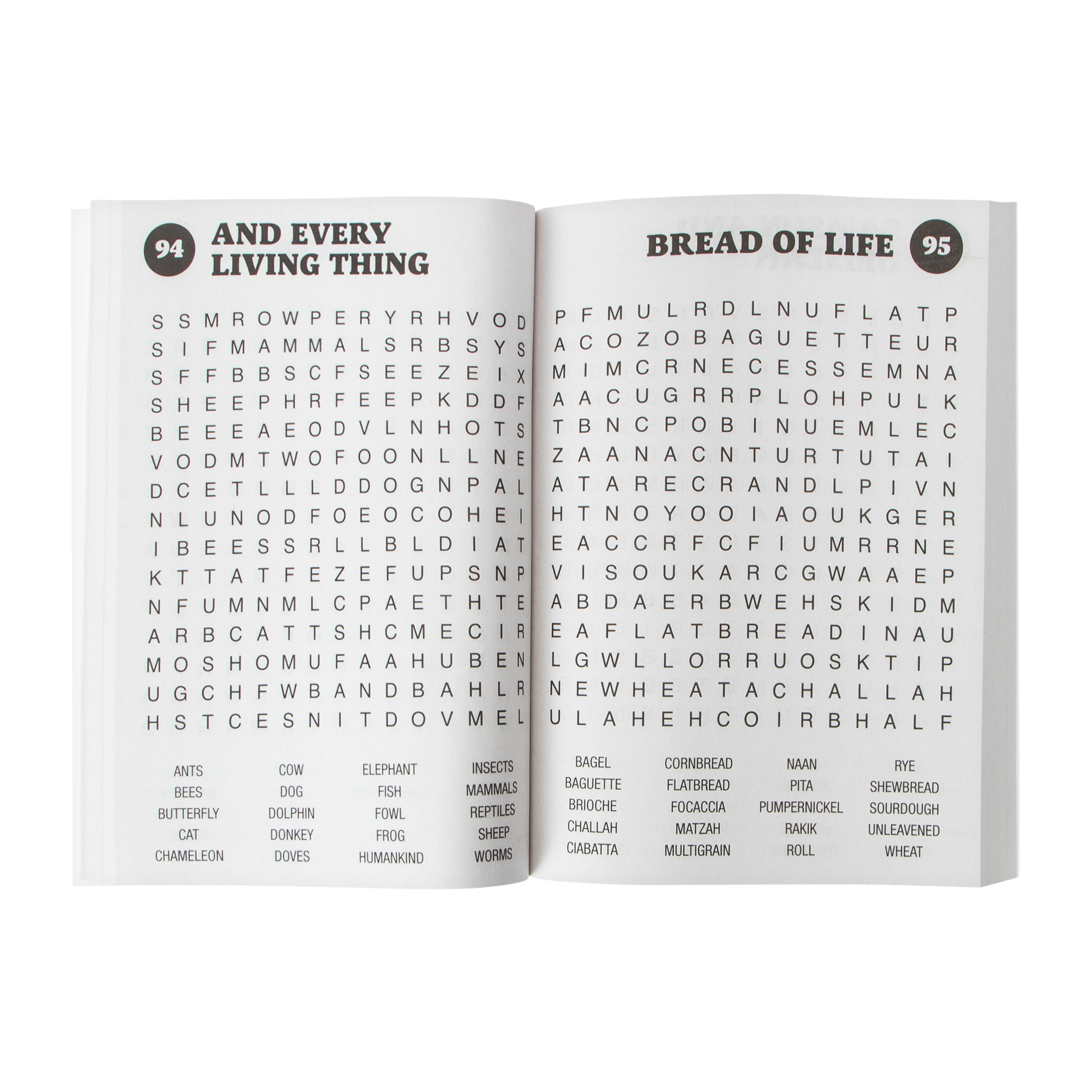Large Print Bible Word Search Puzzle Book Vol 1